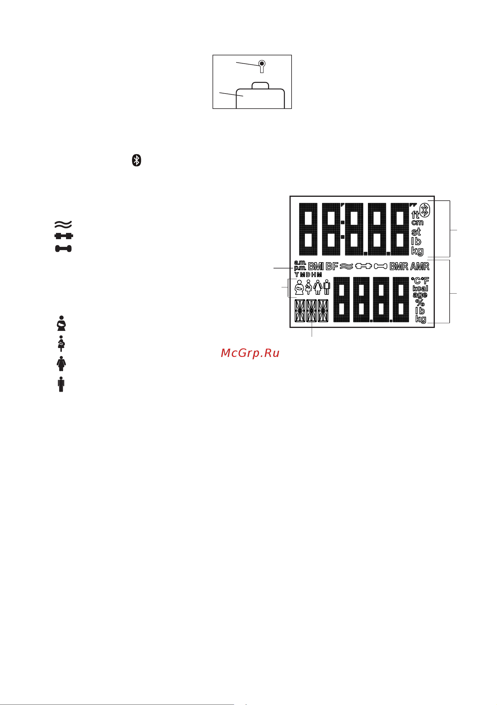 Beurer BF950 [72/112] Cihaz açıklaması