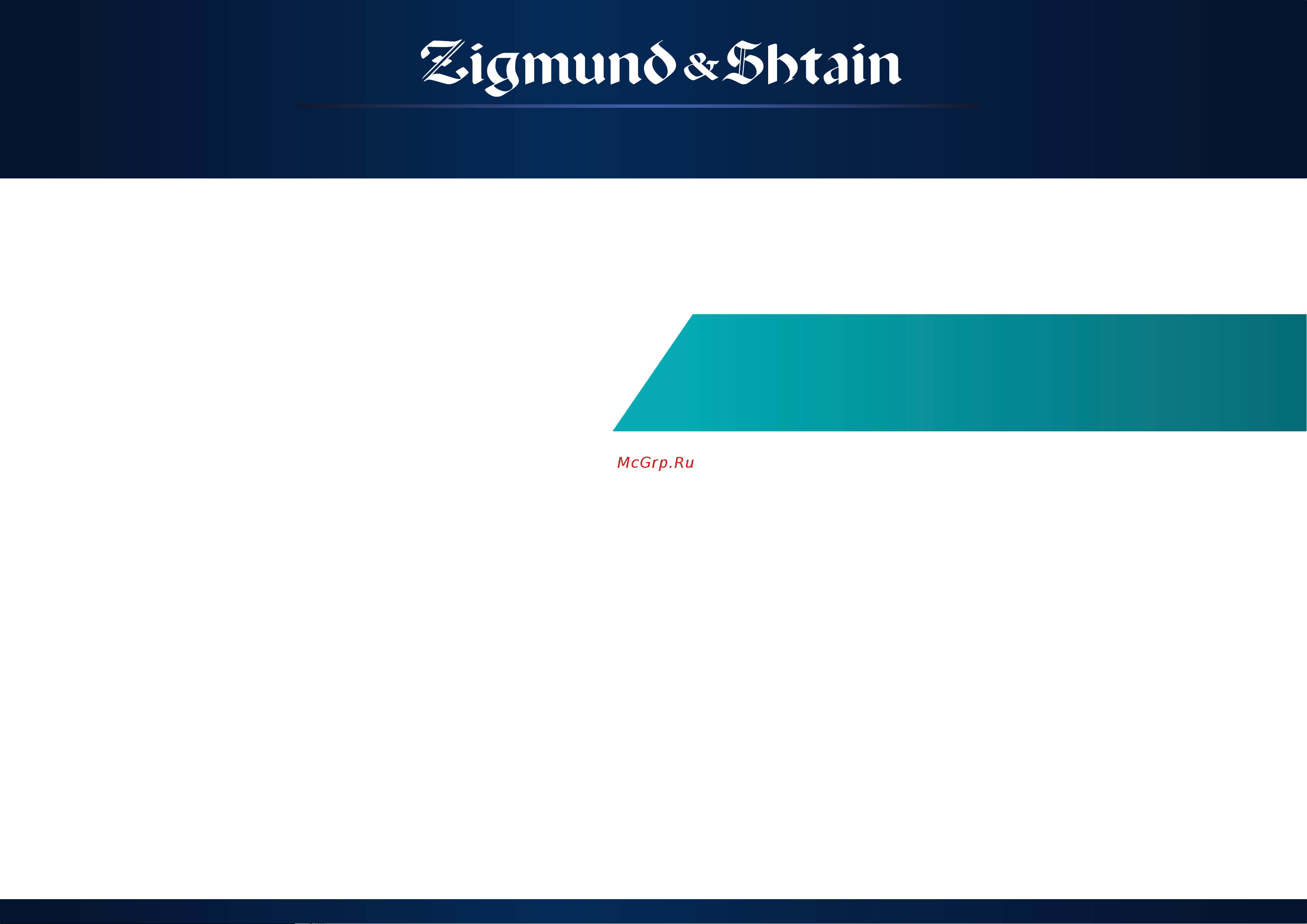 Zigmund & Shtain BH-338M [10/12] Погружной блендер вн 338м