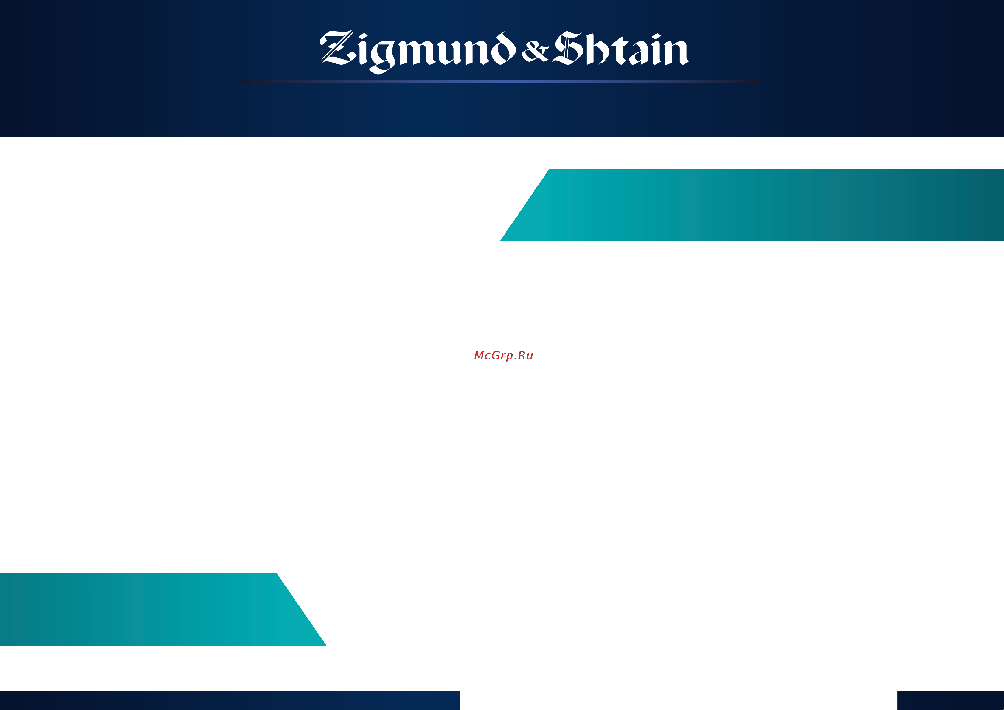Zigmund & Shtain BH-338M [11/12] Стильная качественная упаковка