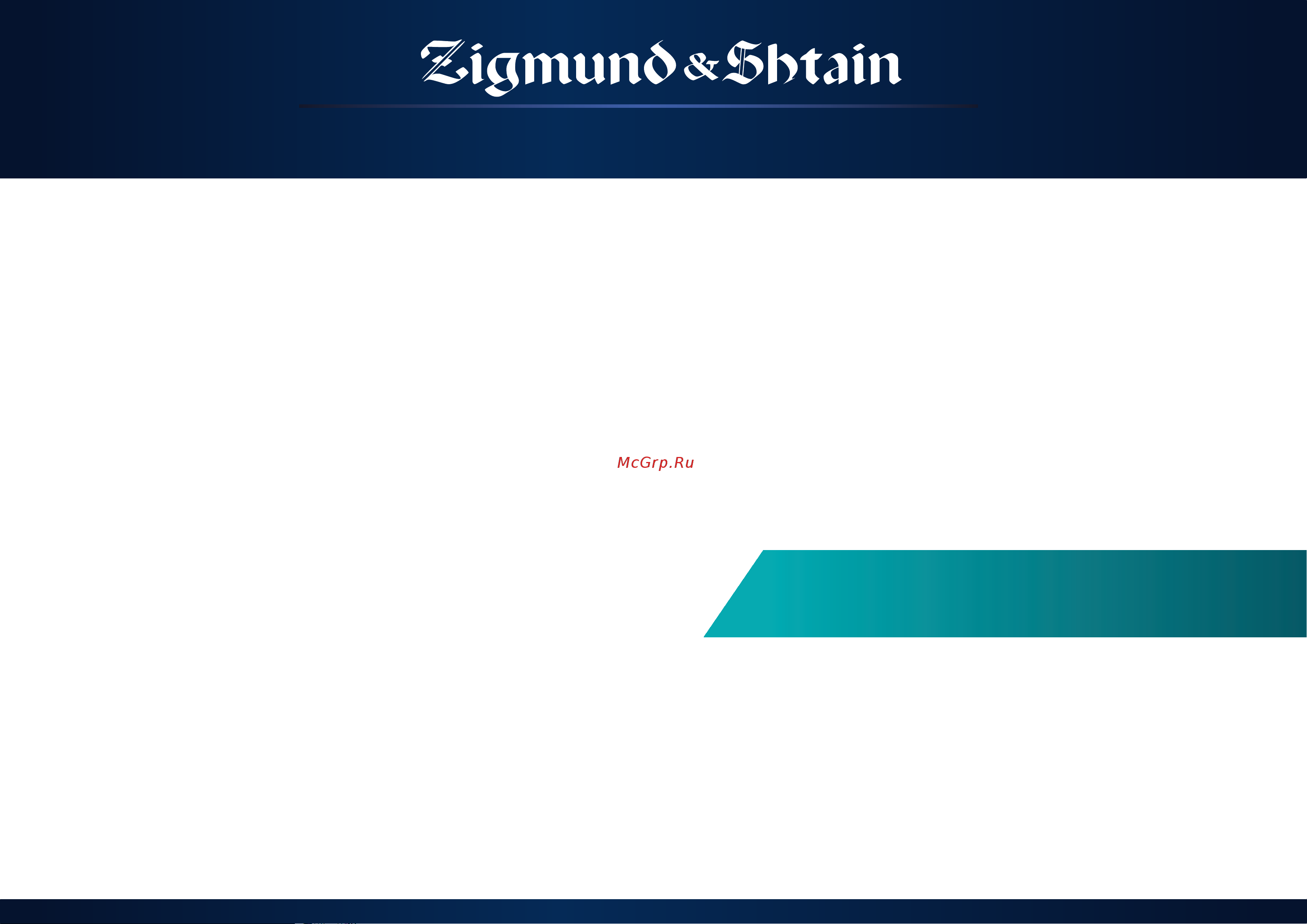 Zigmund & Shtain BH-338M [3/12] Мощность решает все