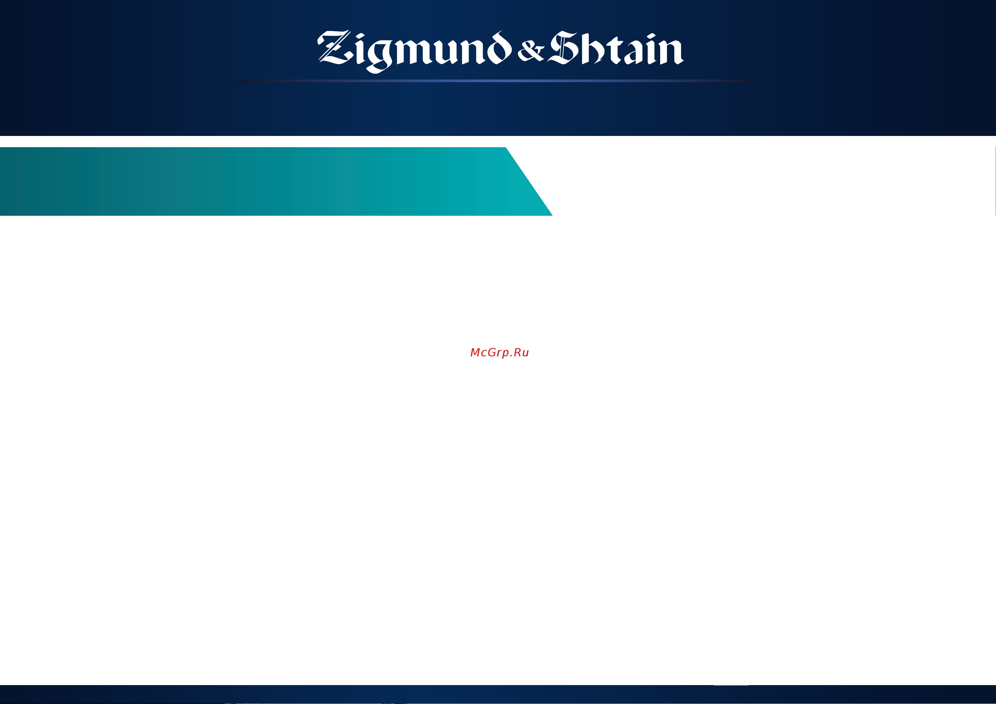 Zigmund & Shtain BH-338M [7/12] Техническиехарактеристики