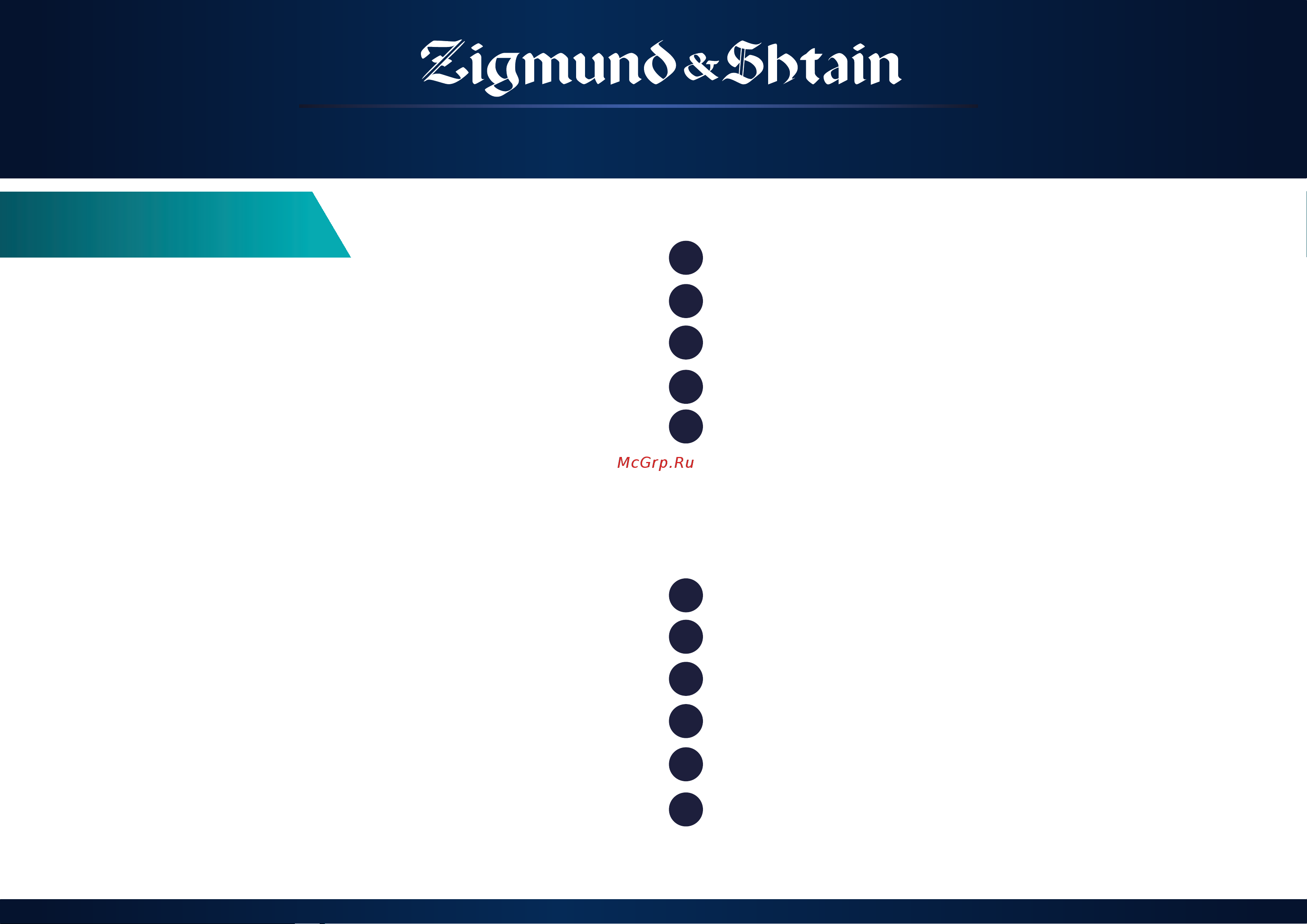 Zigmund & Shtain BH-338M [8/12] Вкомплекте