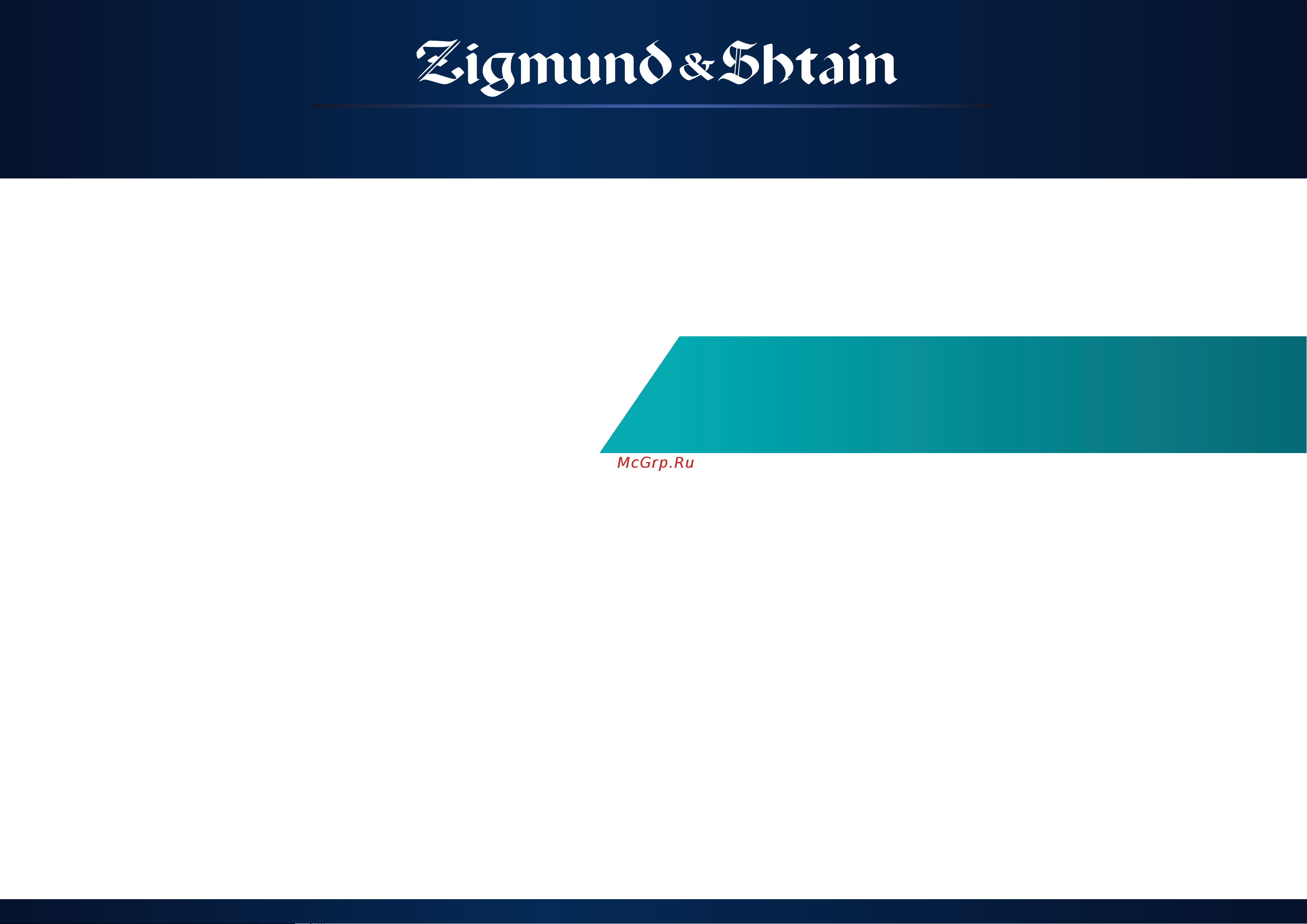 Zigmund & Shtain BH-338M [9/12] Погружной блендер вн 338м