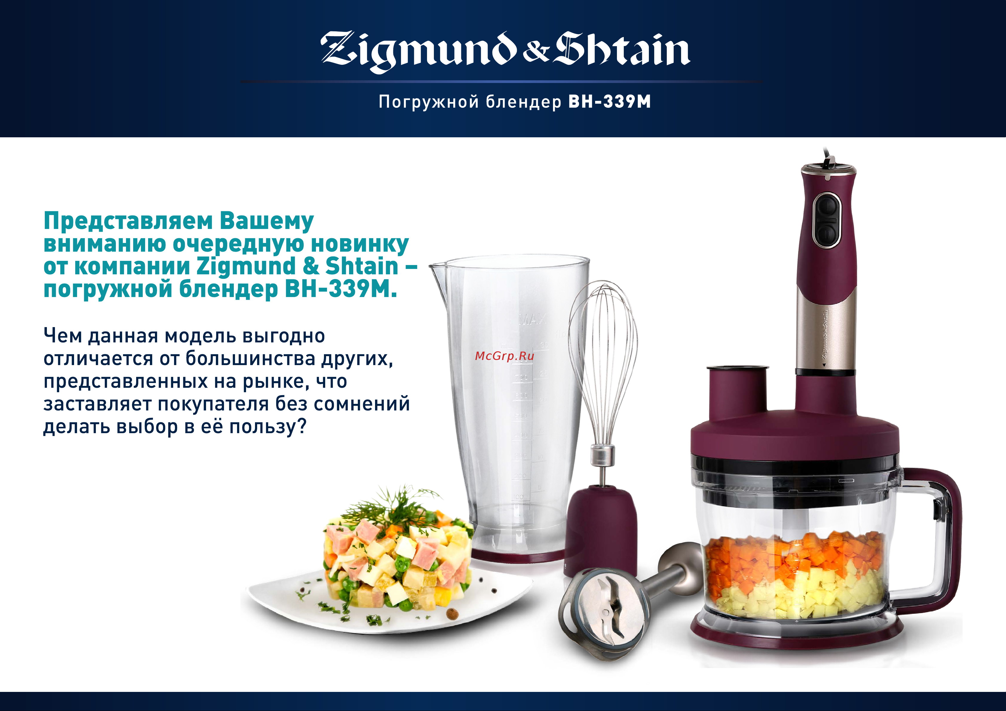 Zigmund & Shtain BH-339M Руководство по эксплуатации онлайн [2/13] 774191