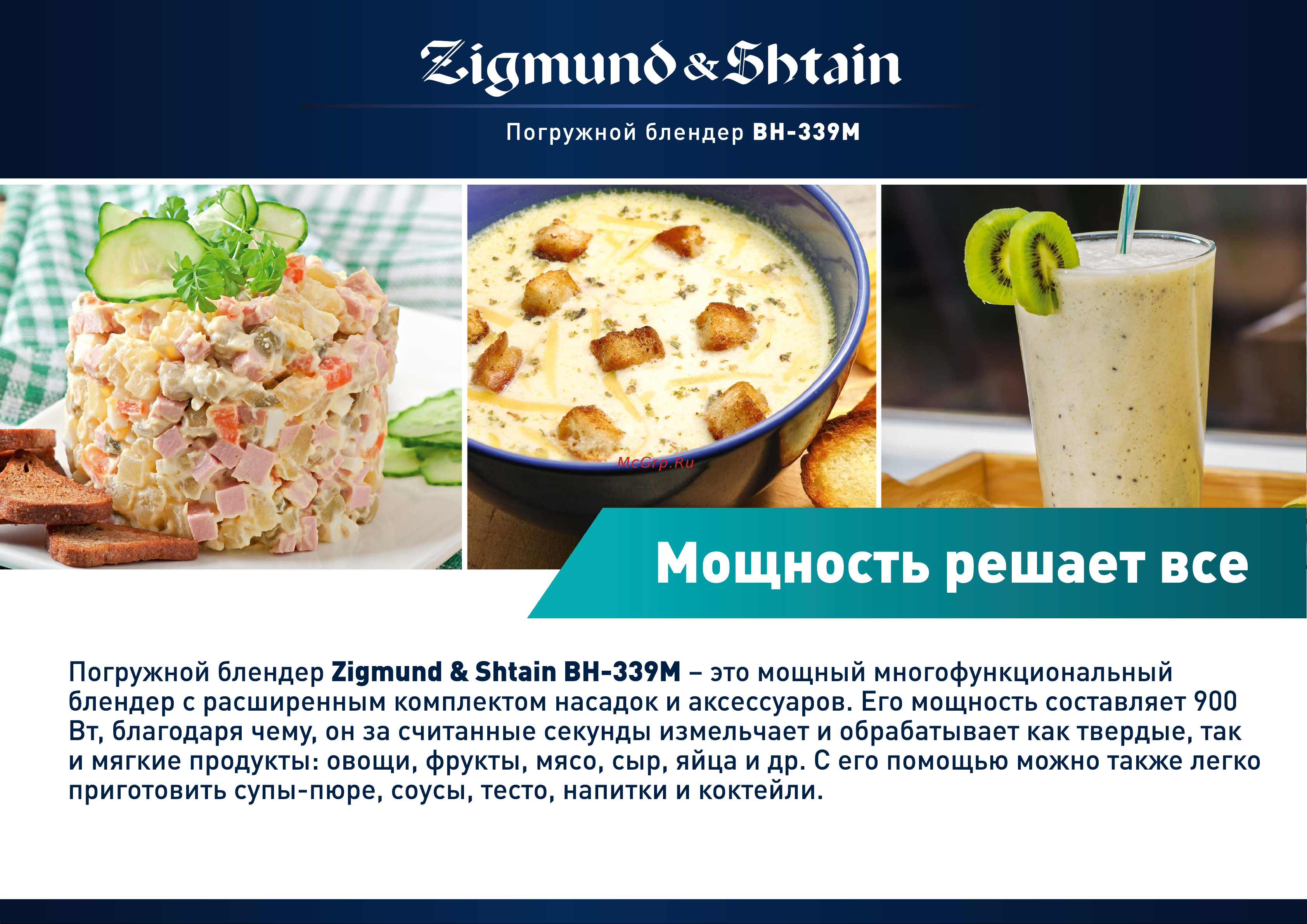Zigmund & Shtain BH-339M Руководство по эксплуатации онлайн [3/13] 774191