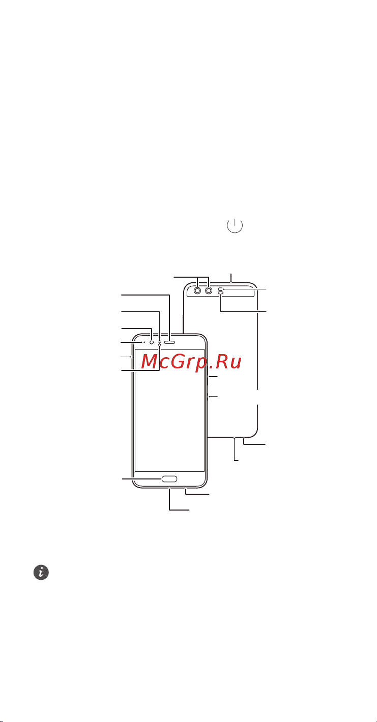 Huawei P10 64 Gb LTE [2/19] Знакомство с устройством