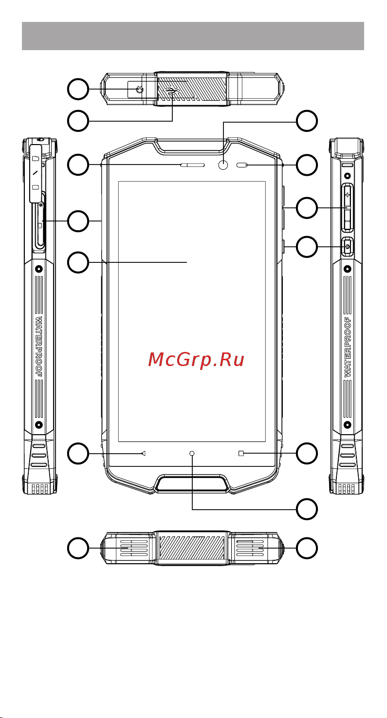 Wigor V2 DS Руководство по эксплуатации онлайн [3/9] 774846