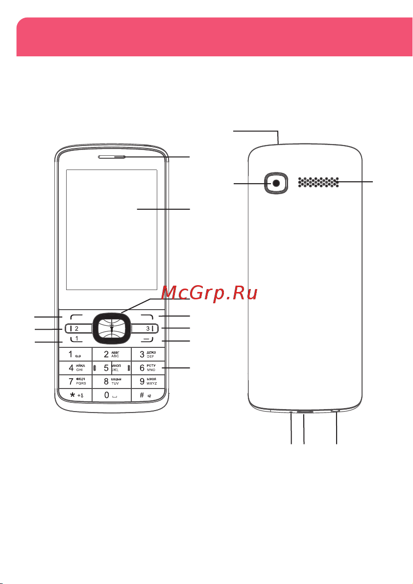 Nobby 330Т NBP-BP-28-12 [3/16] Схема устройства