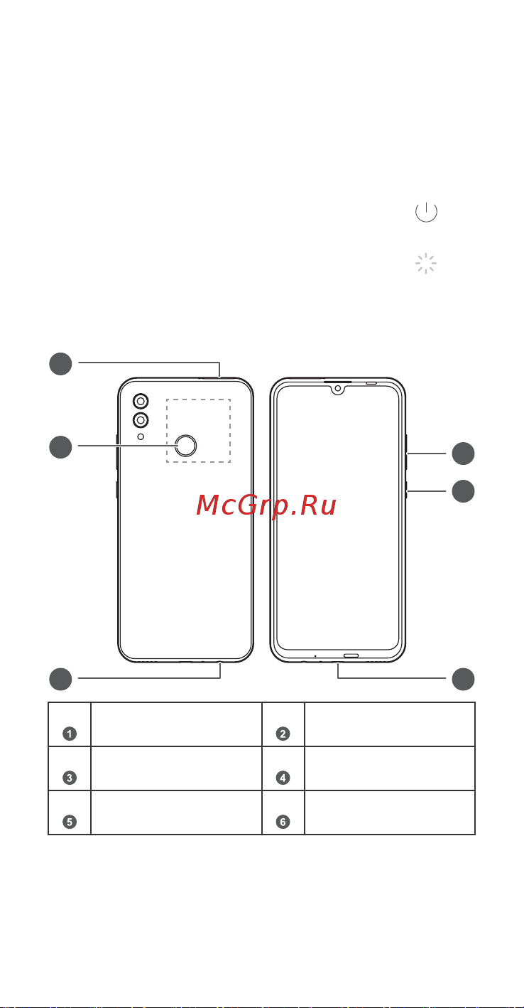 Honor 10 Lite 64GB Midnight (HRY-LX1 ) [4/30] Знакомство с устройством