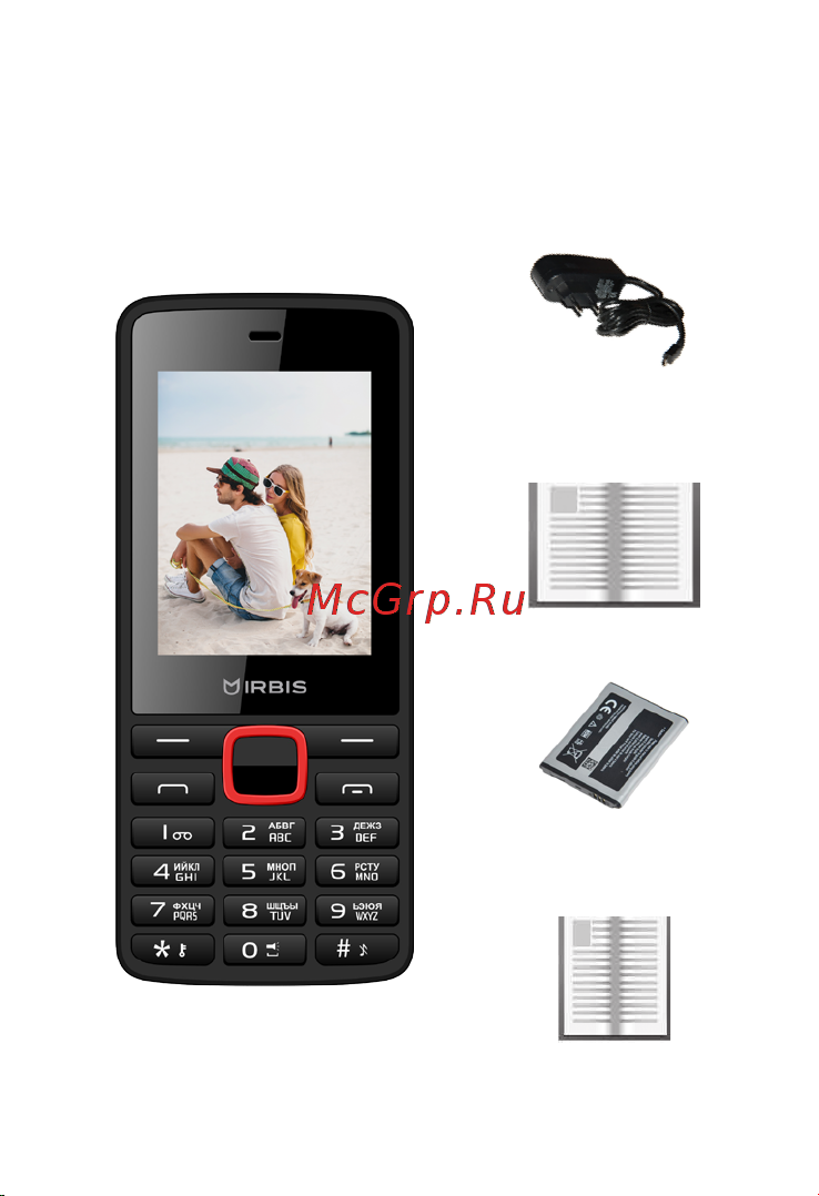 Irbis SF19r [3/28] Комплект поставки