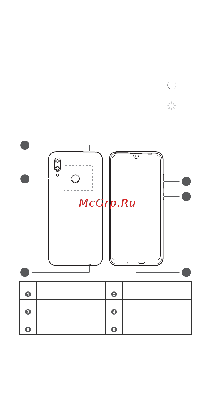 Huawei P Smart 2019 32GB Midnight (POT-LX1) [2/43] Знакомство с устройством
