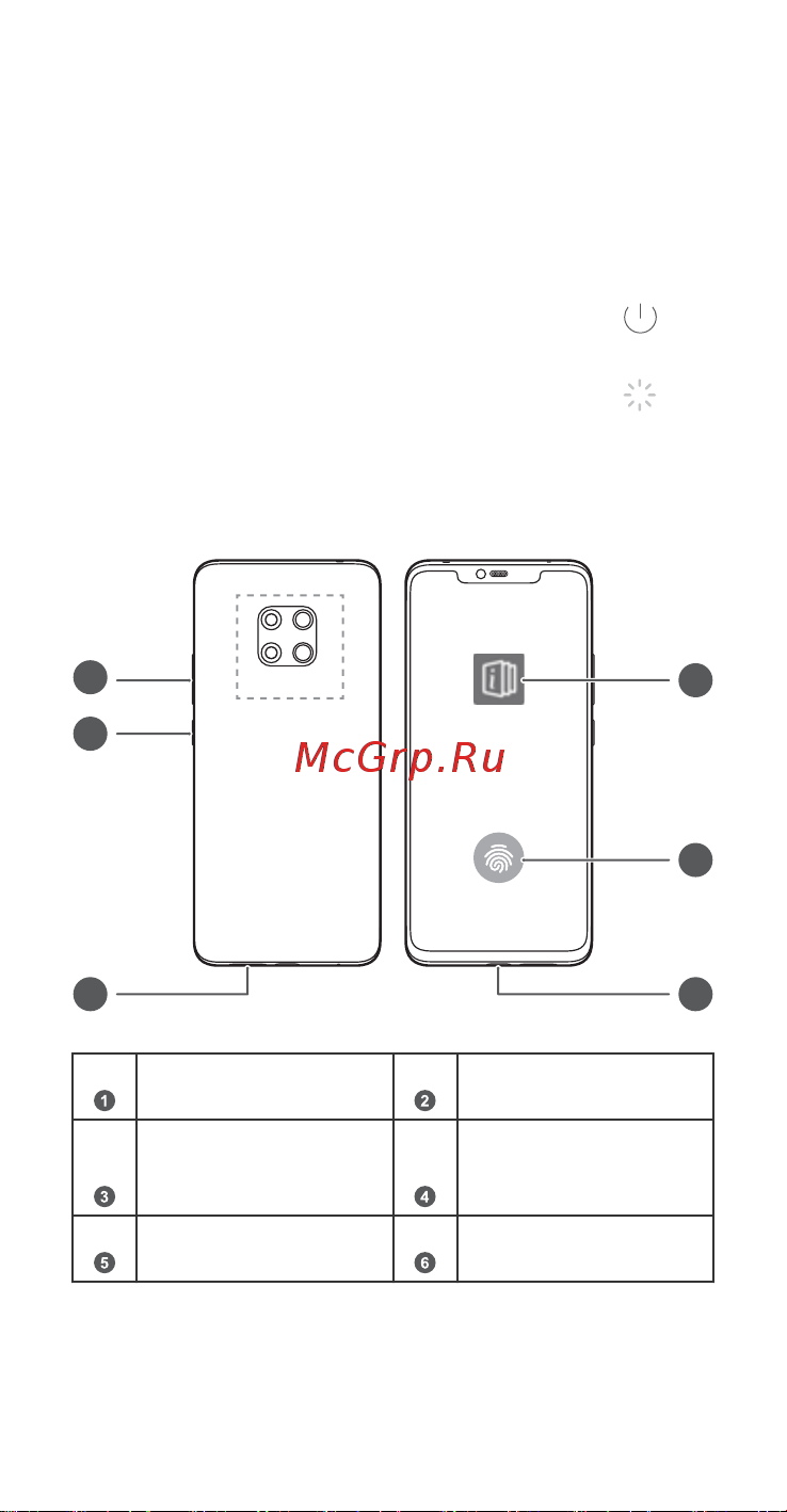 Huawei Mate 20 Pro (LAYA-L29) [16/64] Знакомство с устройством
