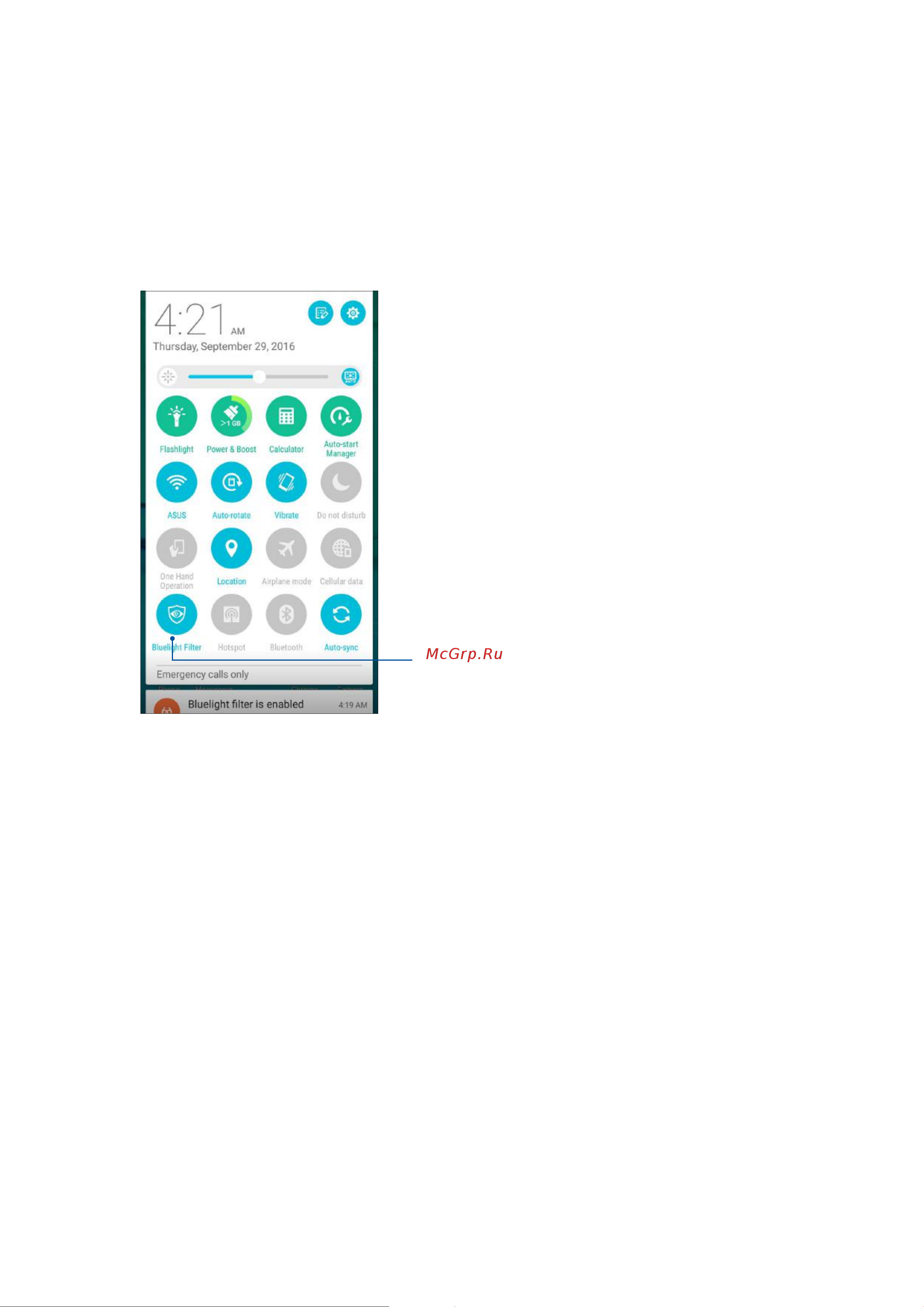Asus Zenfone Go ZB500KL 16Gb (90AX00A8-M00750) [90/103] Фильтр синего