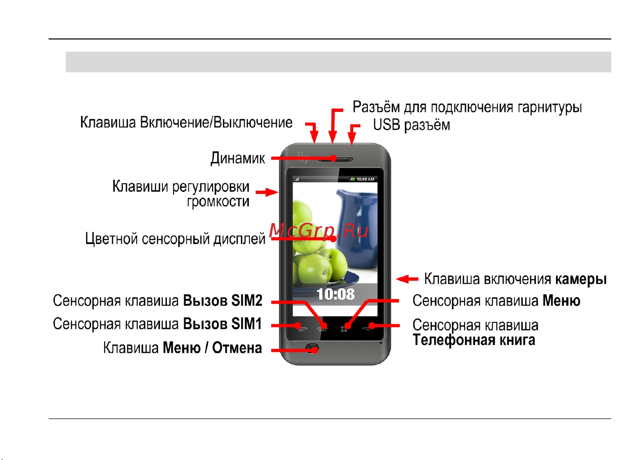 Fly E175 Wi-Fi [15/59] Конструкция телефона
