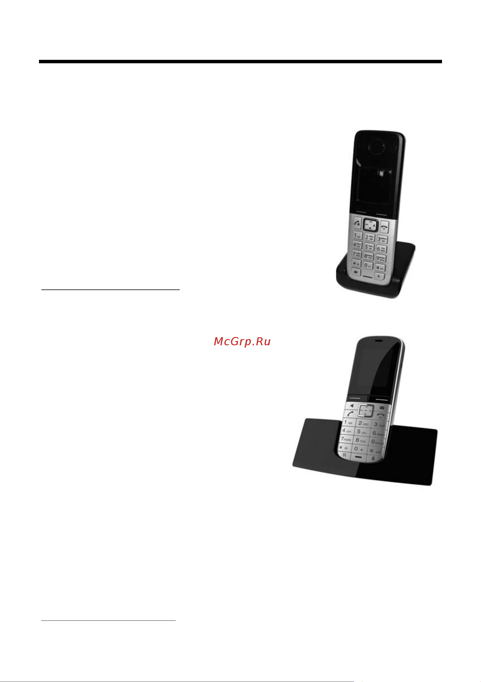GIGASET COMMUNICATIONS GMBH GIGASET C300 Duo [75/88] Принадлежности