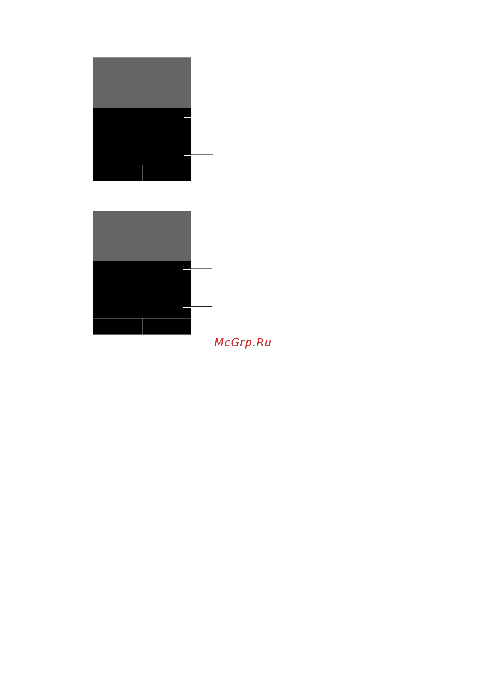 GIGASET COMMUNICATIONS GMBH GIGASET C595 IP [59/257] Функция fsk clip активирована