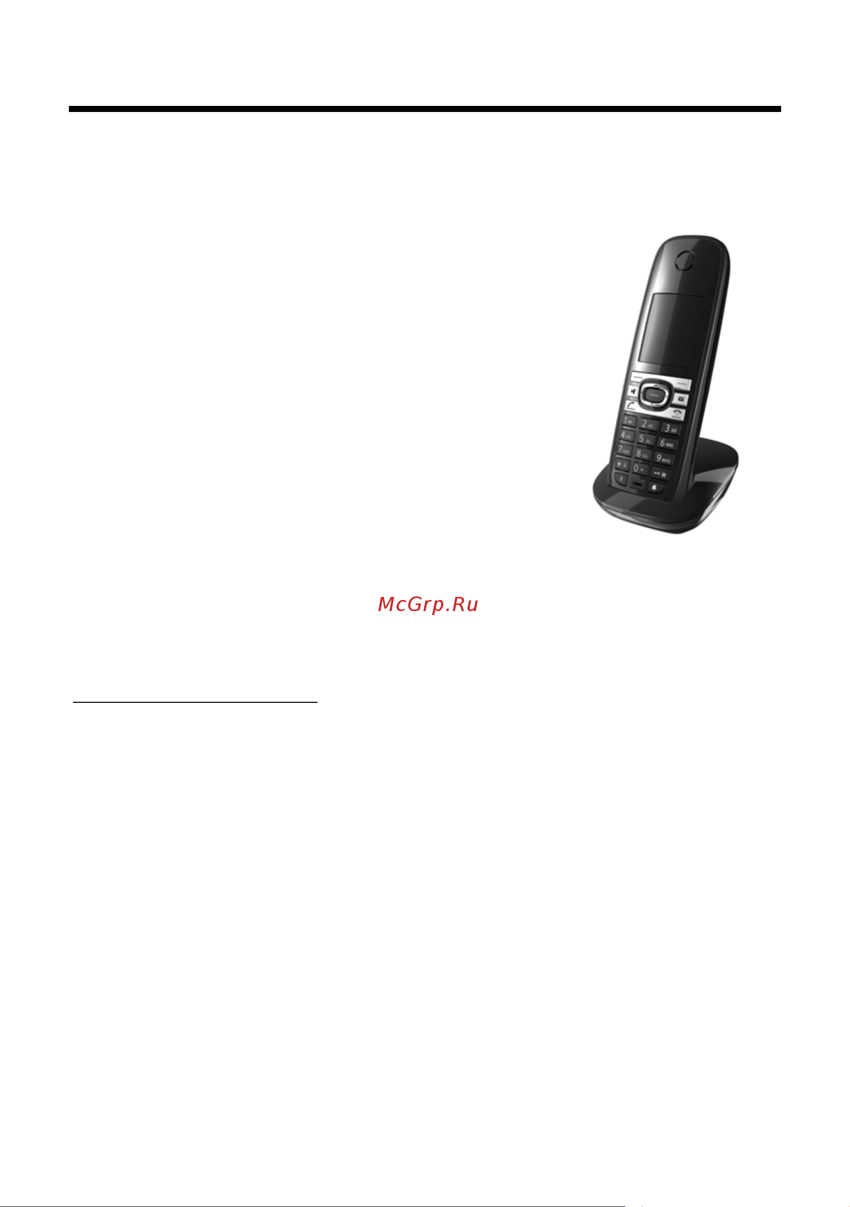GIGASET COMMUNICATIONS GMBH GIGASET C610A [91/104] Принадлежности