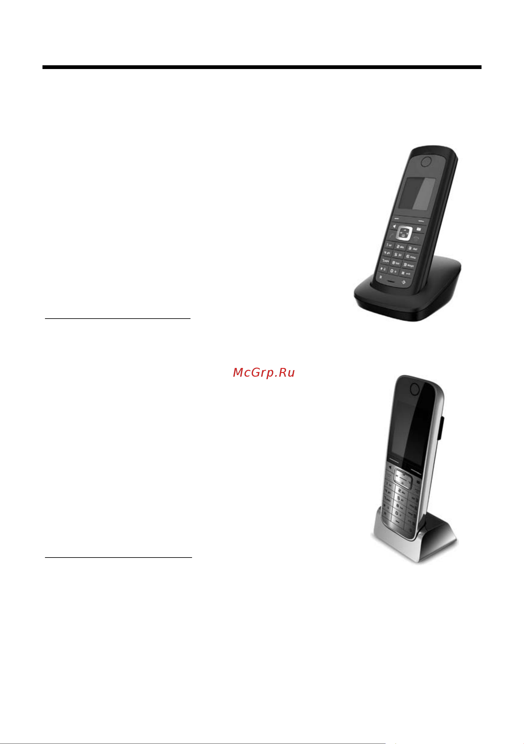GIGASET COMMUNICATIONS GMBH GIGASET E490 [82/92] Аксессуары