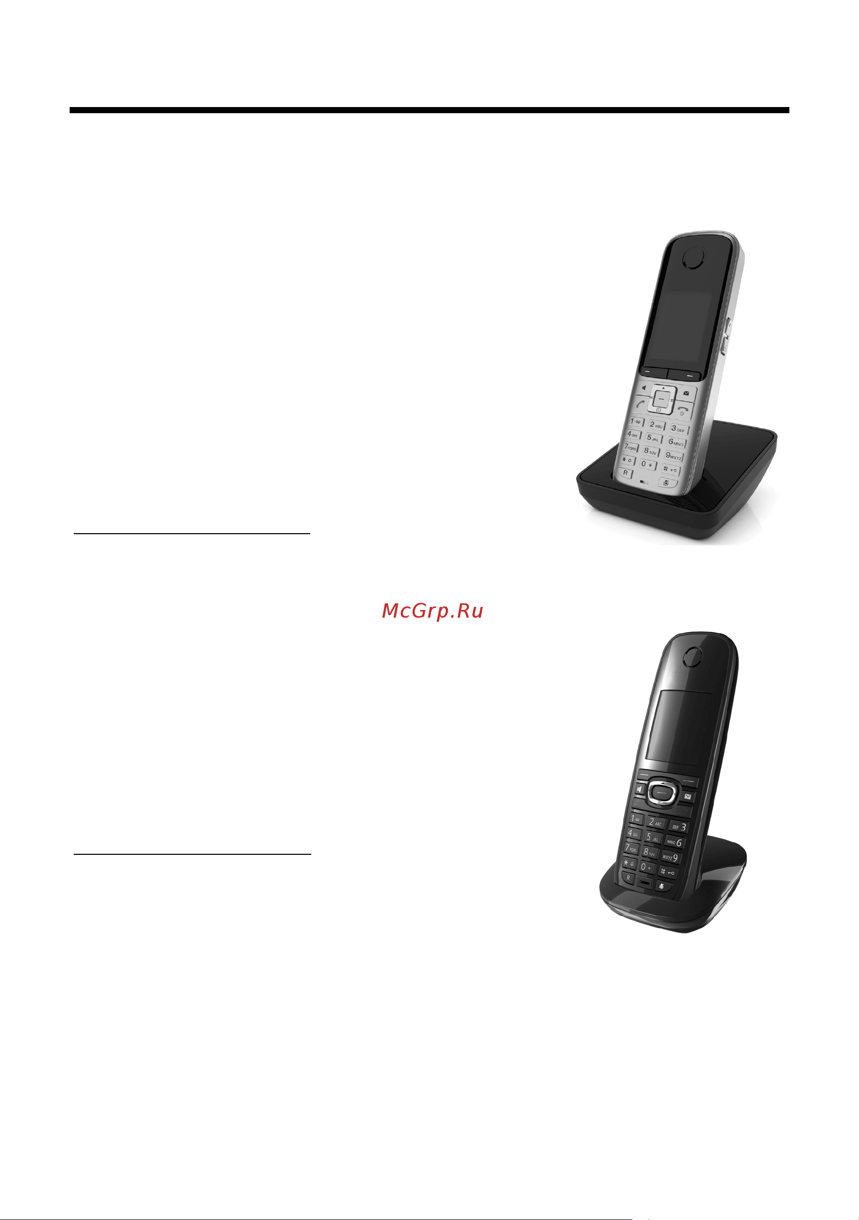 GIGASET COMMUNICATIONS GMBH GIGASET S795 [95/105] Принадлежности