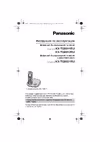 Panasonic KX-TG8021