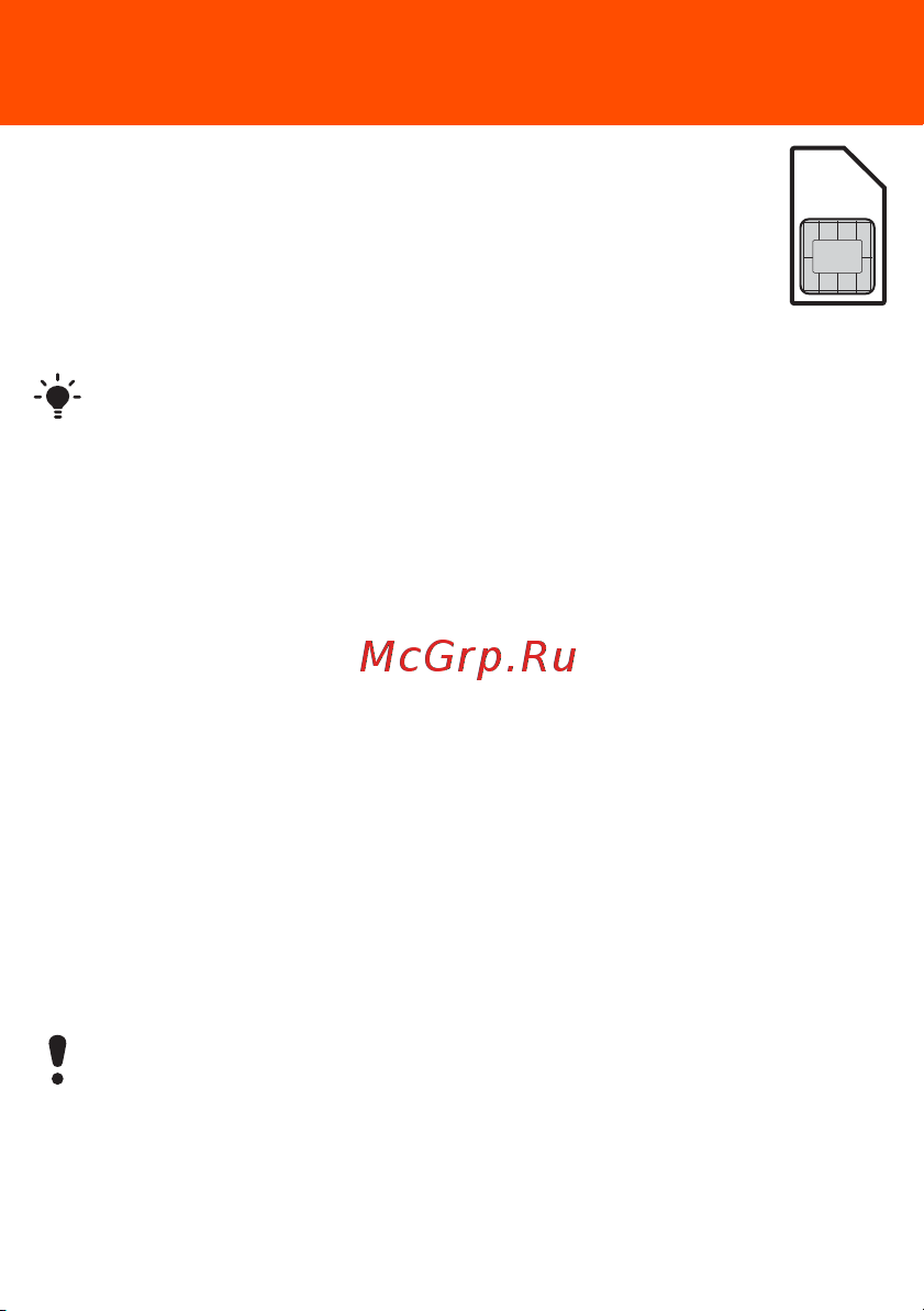 SONY-ERICSSON Sony Ericsson W302 [3/42] Sim карта