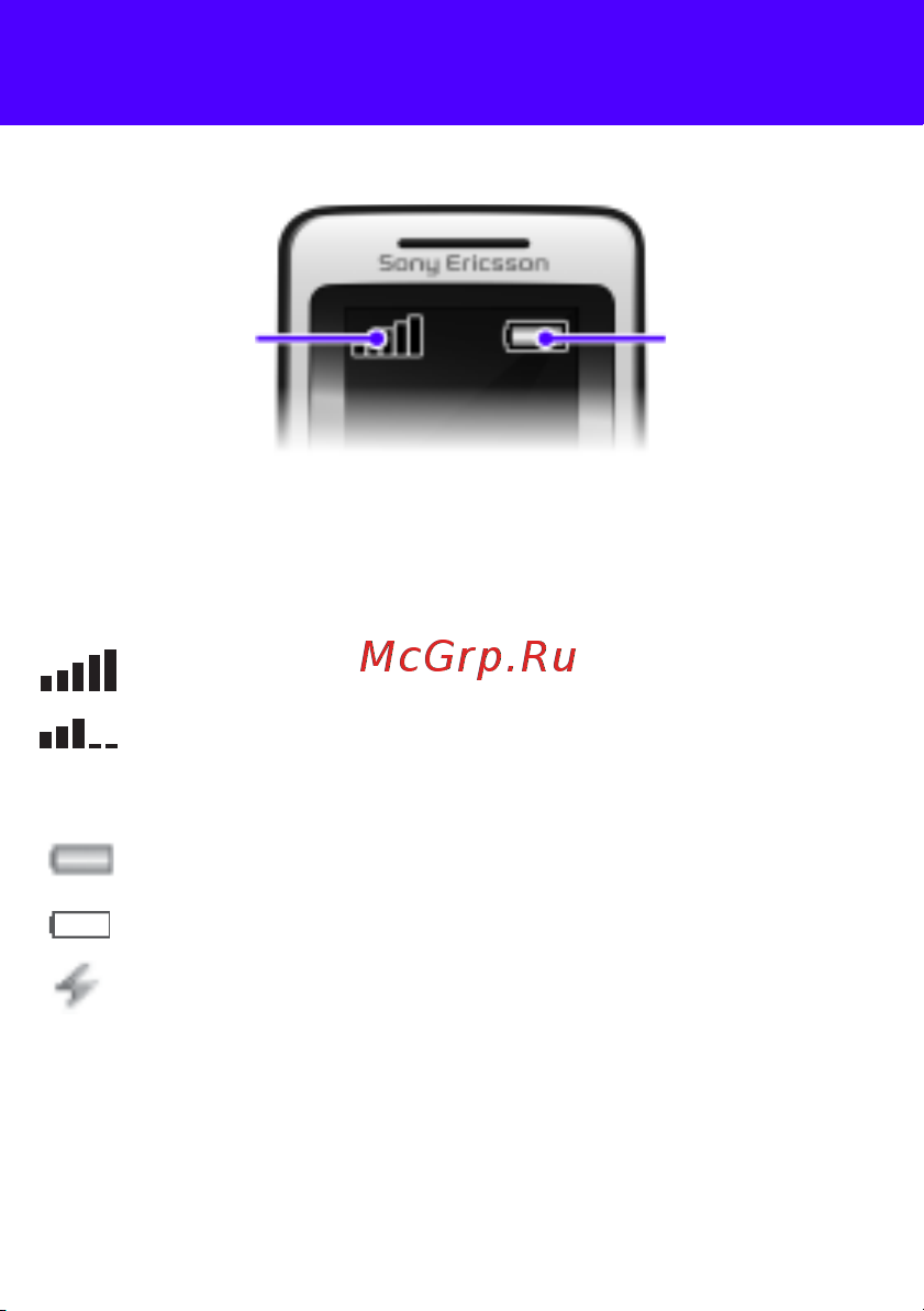 SONY-ERICSSON Sony Ericsson T303 [7/42] Обслуживание сотовой сети
