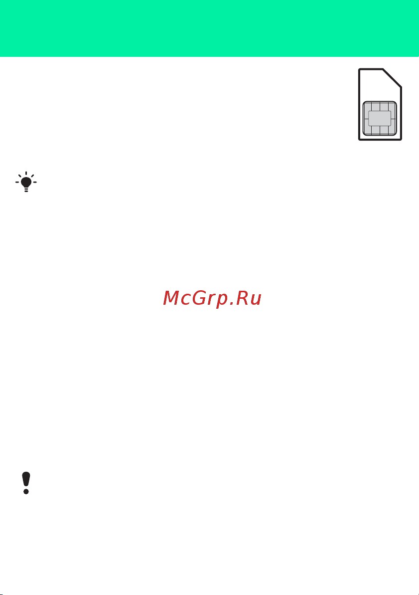 SONY-ERICSSON Sony Ericsson S302 [3/42] Sim карта