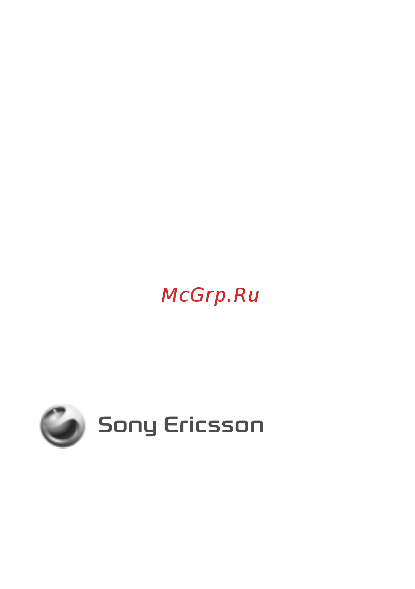SONY-ERICSSON Sony Ericsson S312 Руководство по эксплуатации онлайн [42/42] 775832