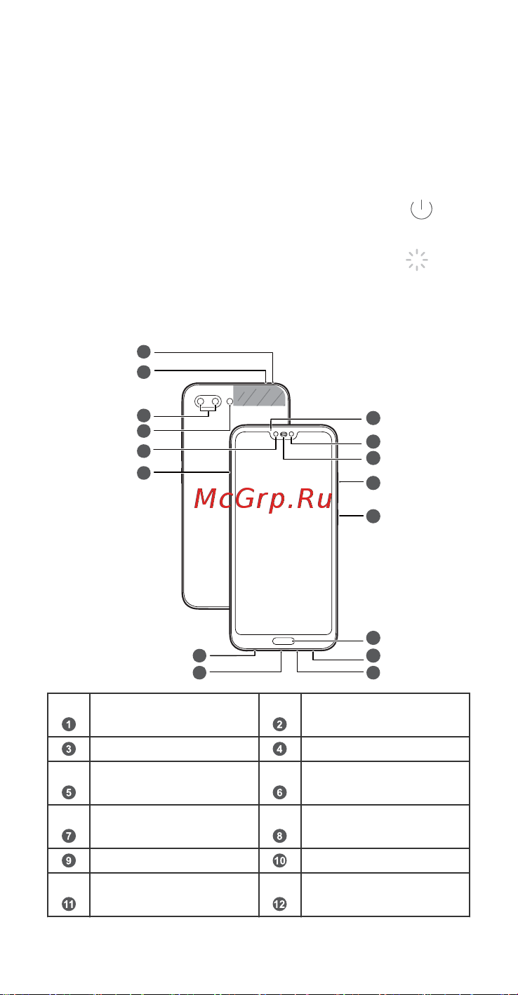Honor 10 128GB Midnight (COL-L29) [2/28] Знакомство с устройством