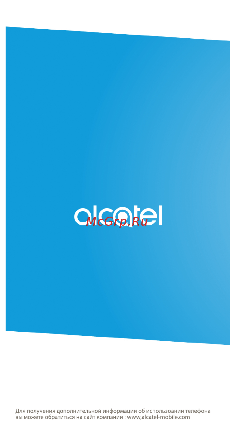 Alcatel 2008G Руководство по эксплуатации онлайн [39/132] 775937