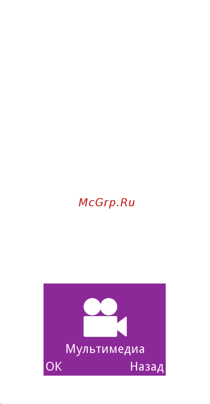 Alcatel 2008G [91/132] Мультимедиа