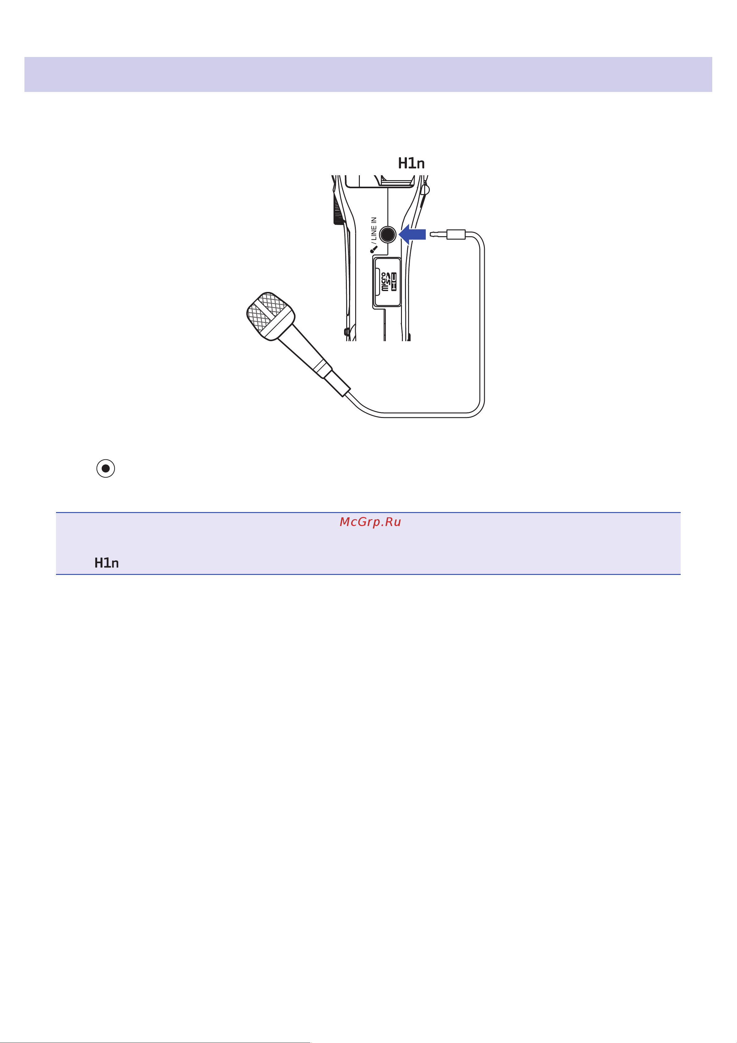 Zoom H1n Limited Edition [32/71] Using external mics