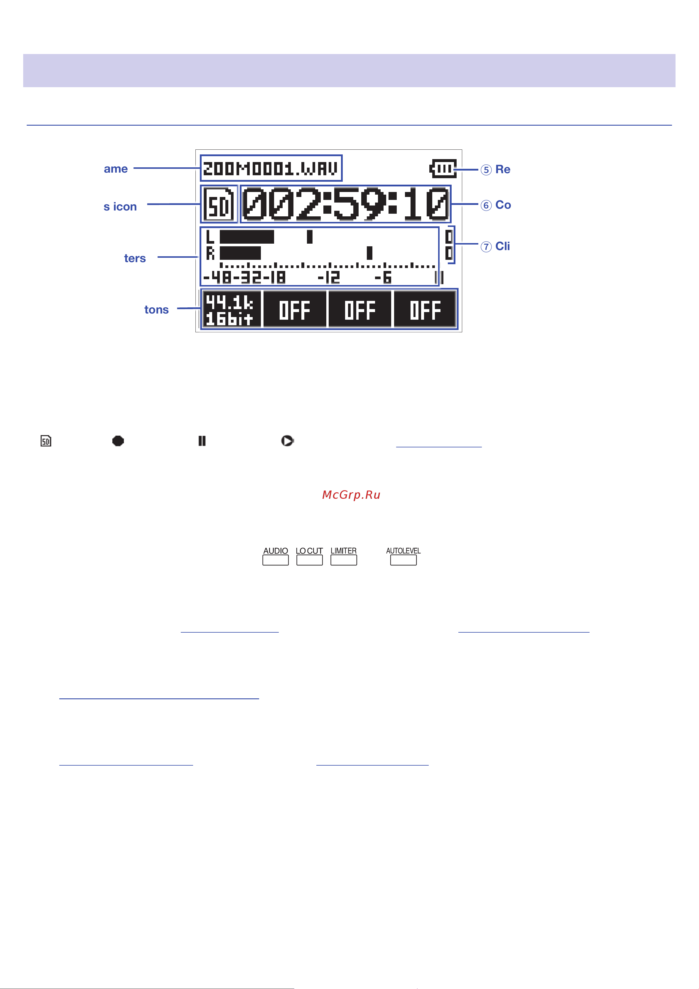 Zoom H1n Limited Edition [9/71] Display overview