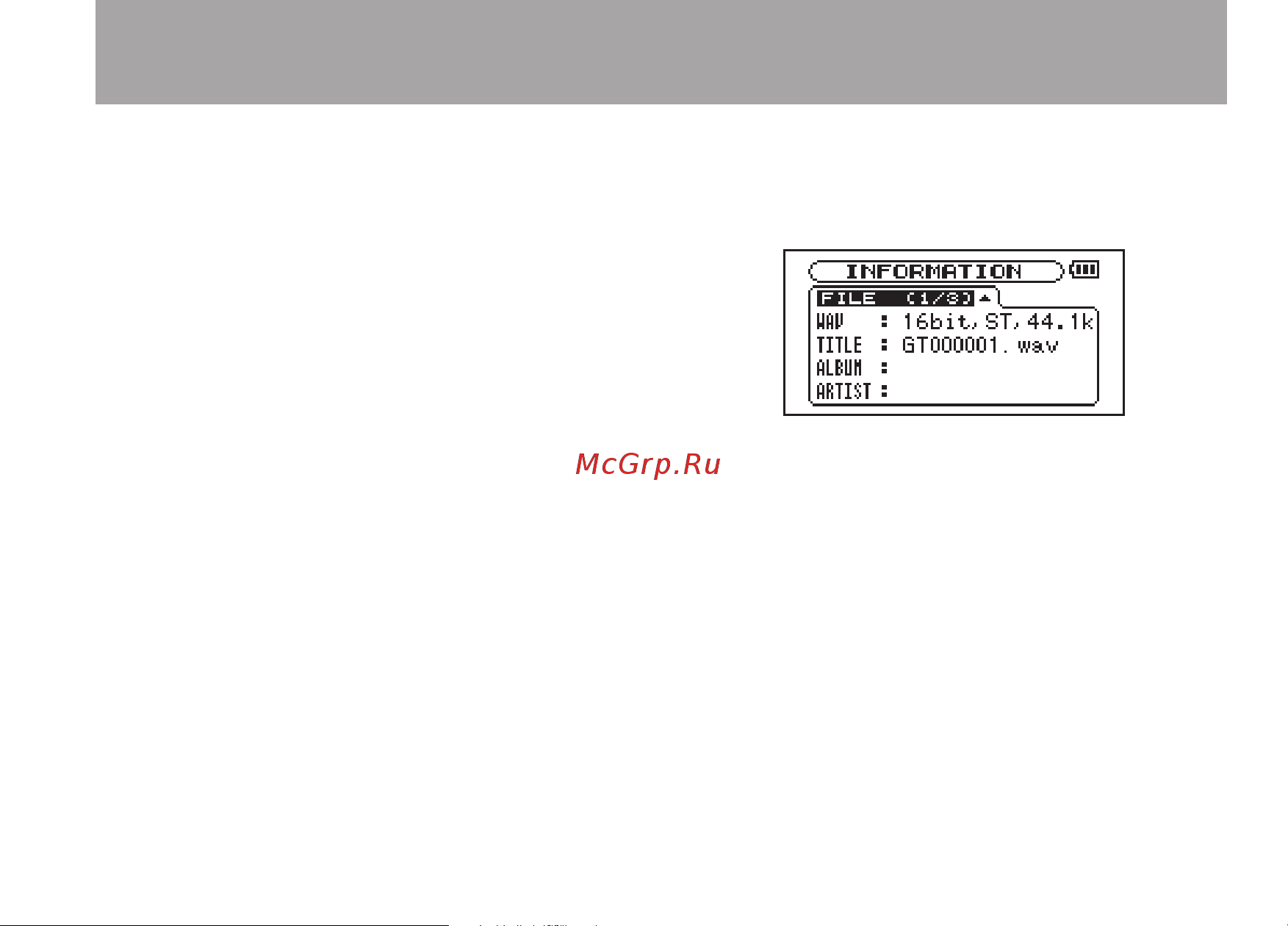 Tascam GT-R1 [93/112] Viewing file information