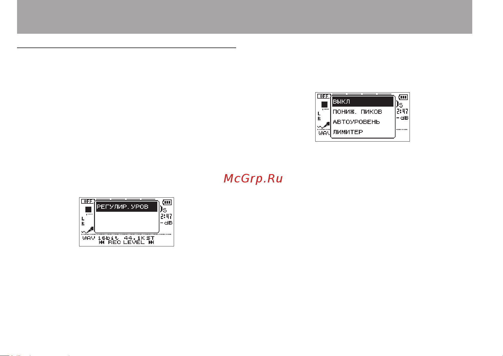Tascam DR-05 version 2 [42/113] Запись