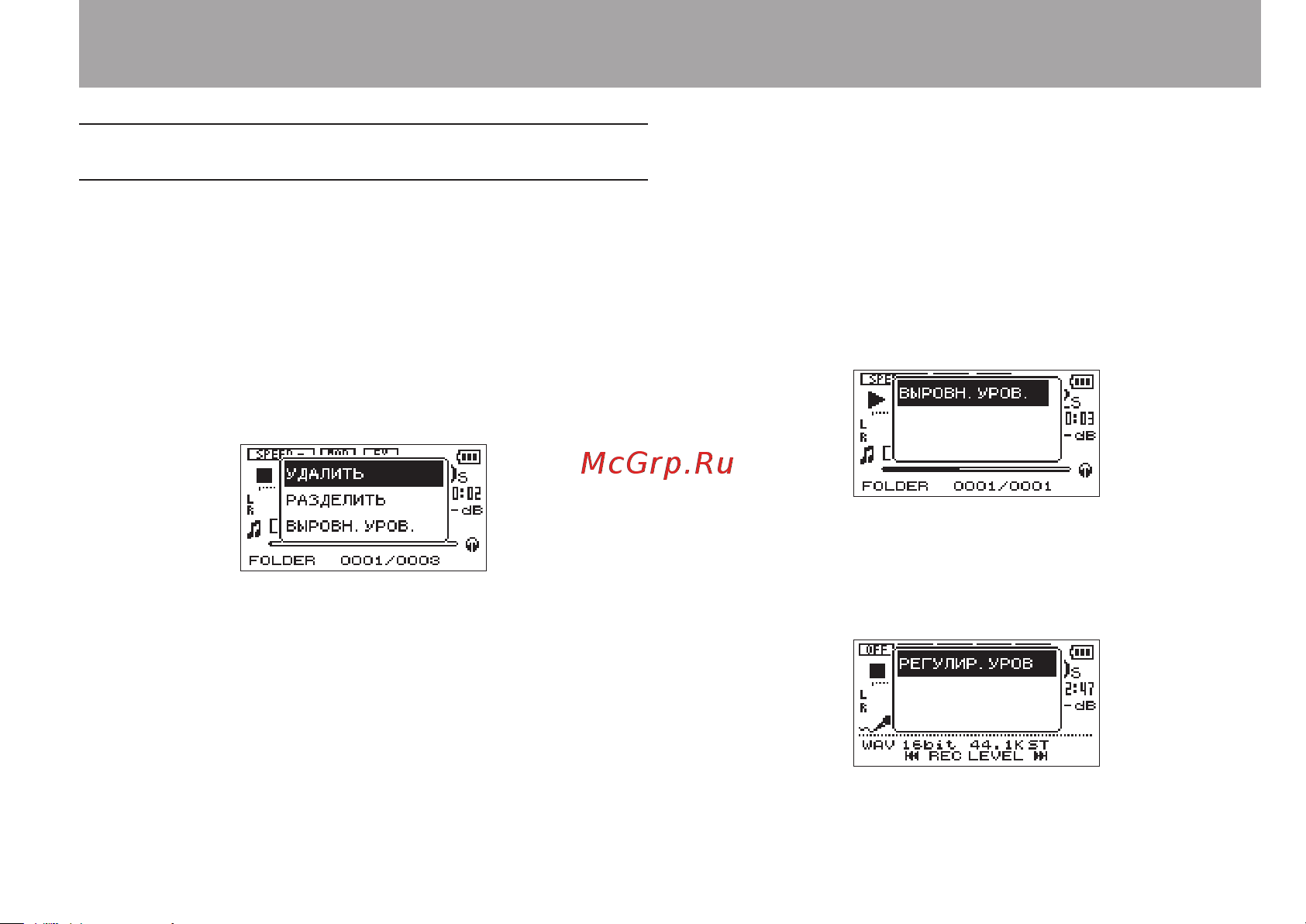Tascam DR-05 version 2 [81/113] Быстрые операции