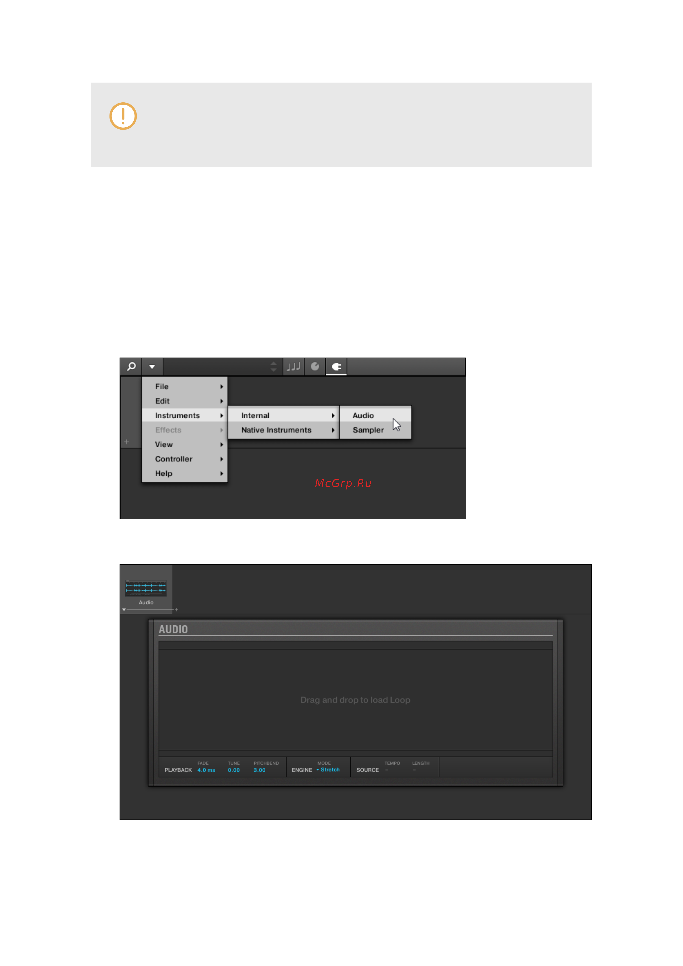 Native Instruments Komplete Kontrol A49 [82/141] Opening the audio plug in or sampler plug in