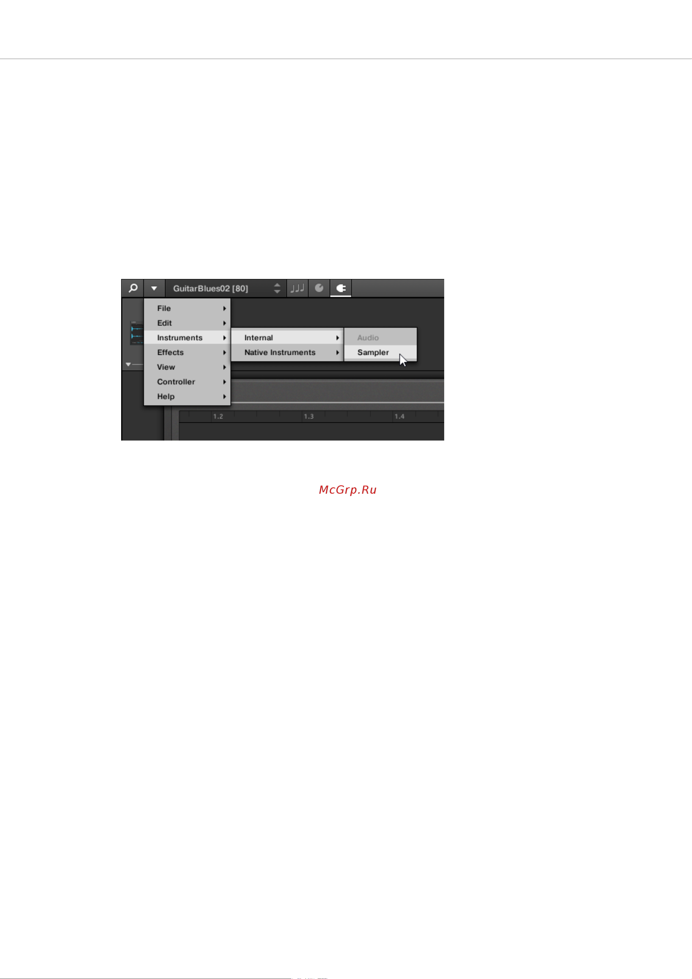 Native Instruments Komplete Kontrol A49 [83/141] Switching between the audio plug in and the sampler plug in