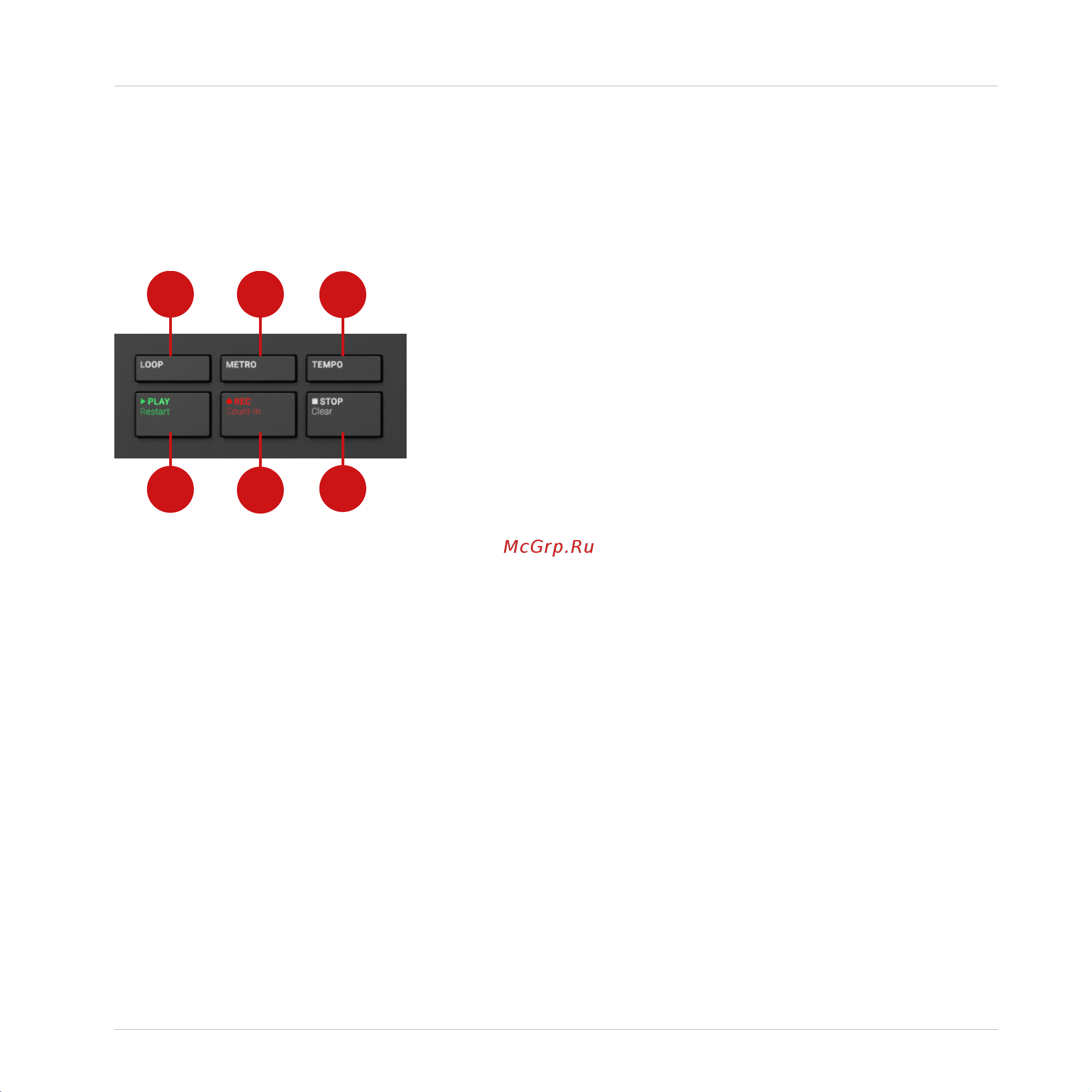 Native Instruments Komplete Kontrol A25 [40/183] Transport section