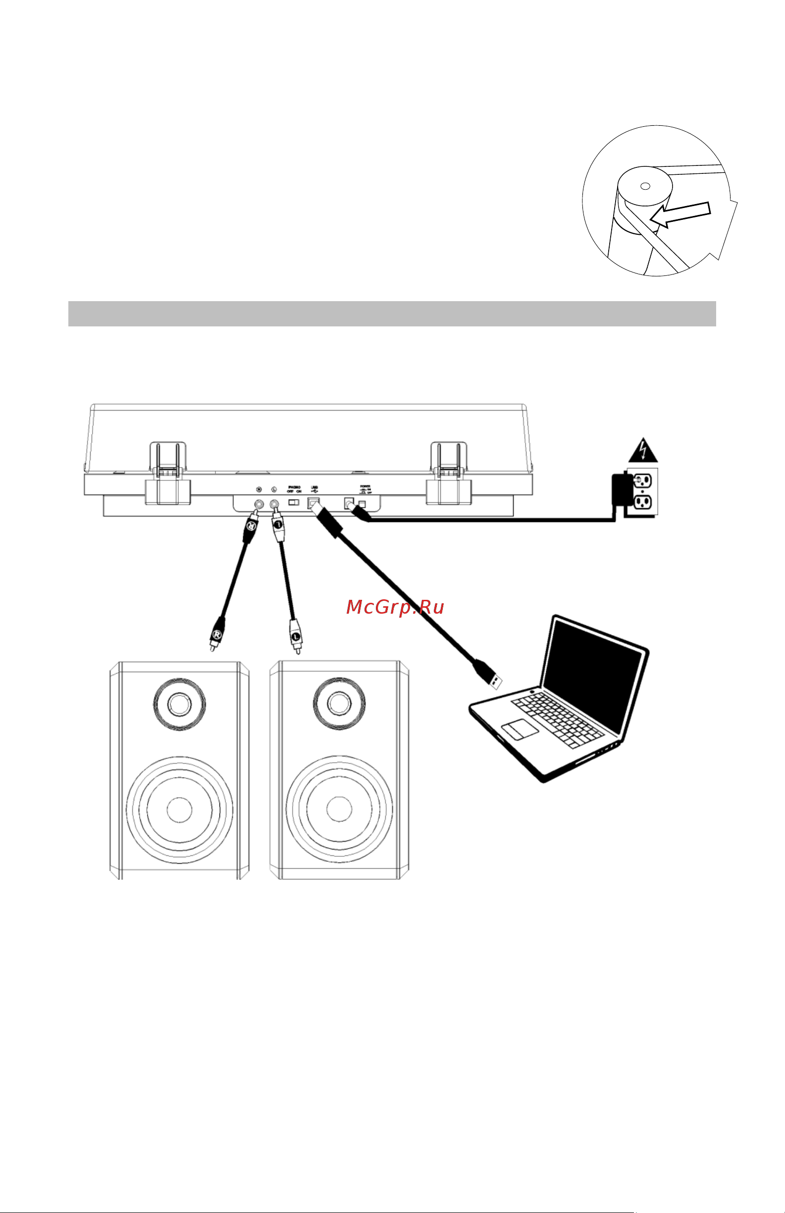 Ion AUDIO PRO 100BT [3/10] Диаграмма подключения