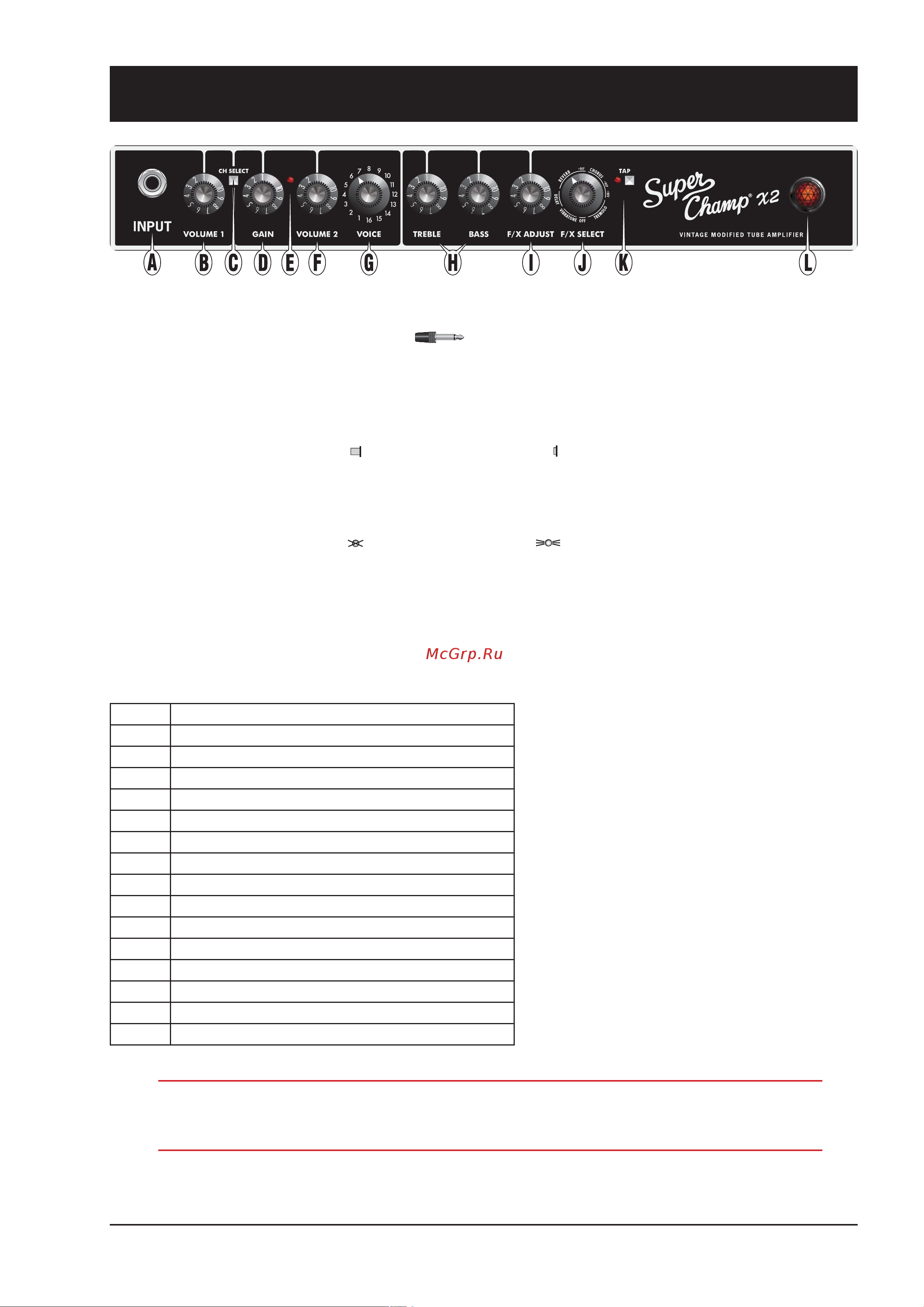 Fender SUPER CHAMP X2 COMBO [5/8] Лицевая панель