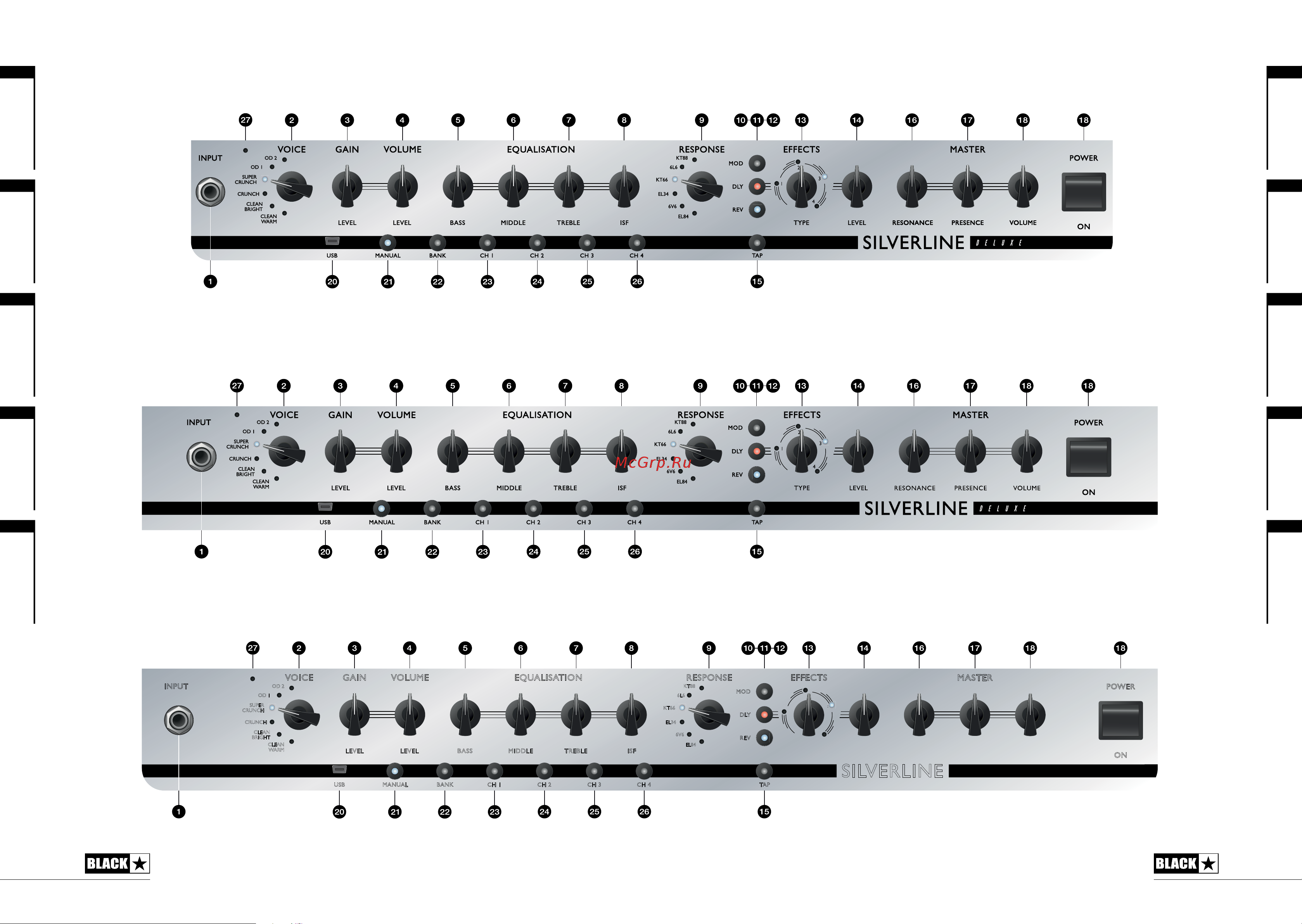 BLACKSTAR Silverline Deluxe Head [12/15] Silverline