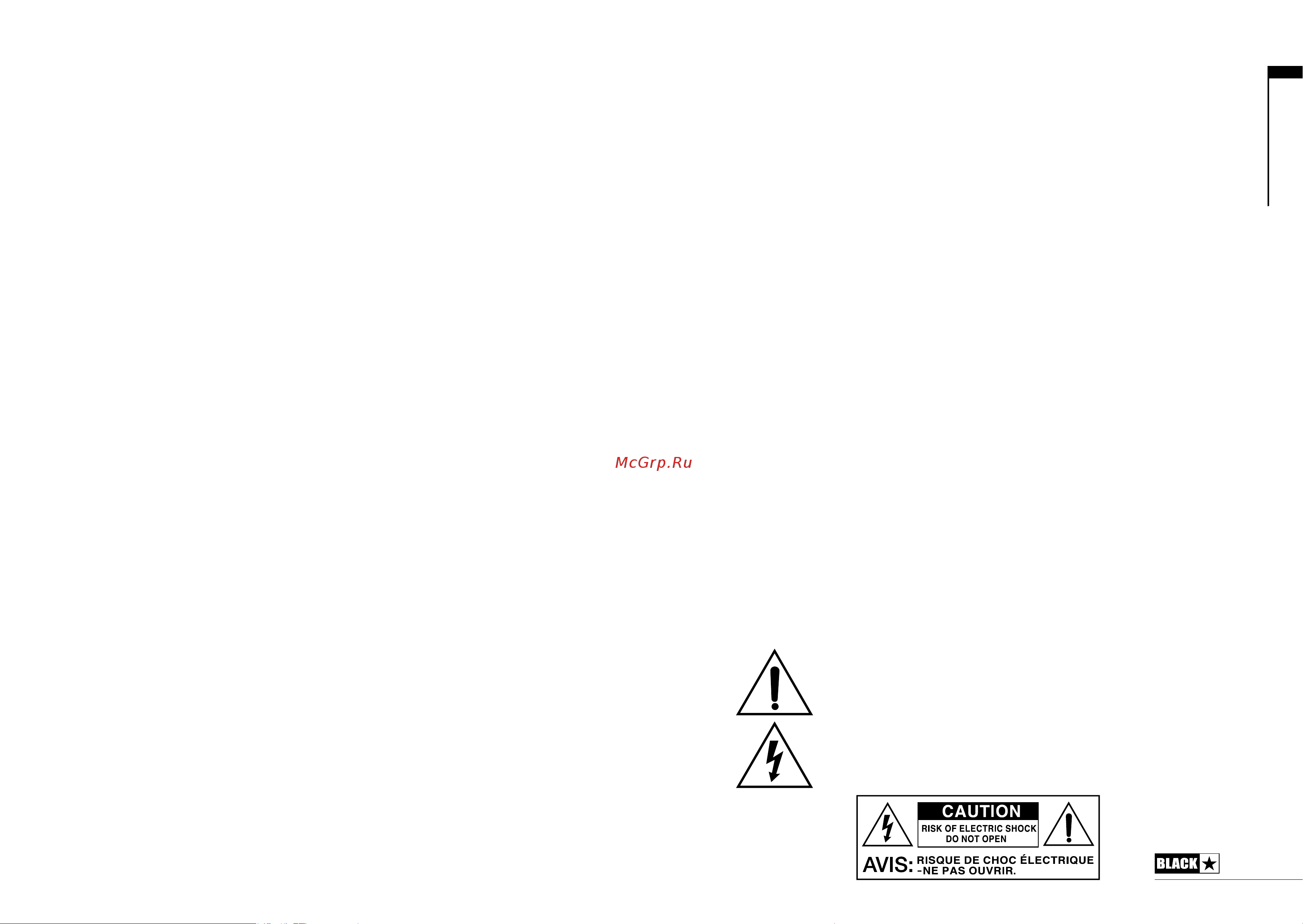 BLACKSTAR Silverline Deluxe Head [2/15] Important safety instructions