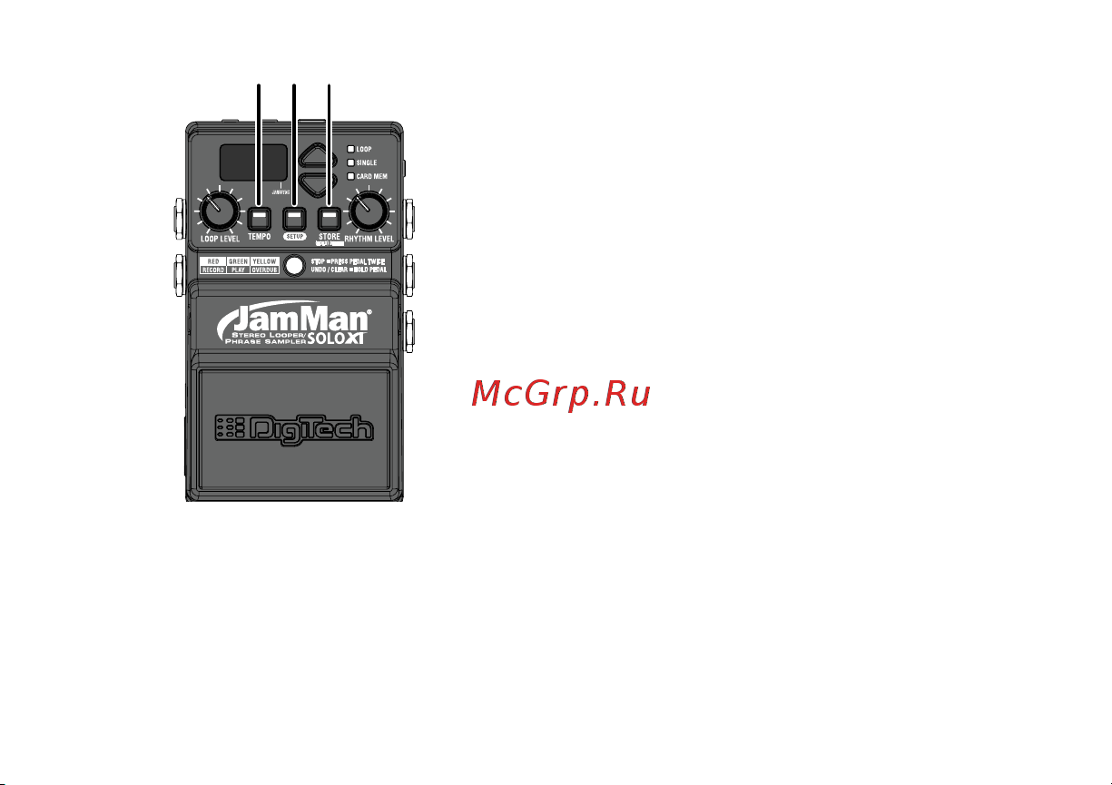 Digitech JamMan Solo XT Руководство по эксплуатации онлайн [12/72] 776603