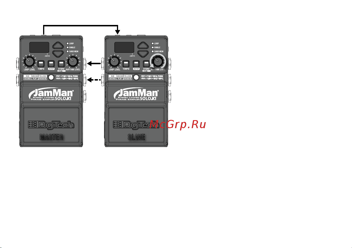 Digitech JamMan Solo XT Руководство по эксплуатации онлайн [41/72] 776603