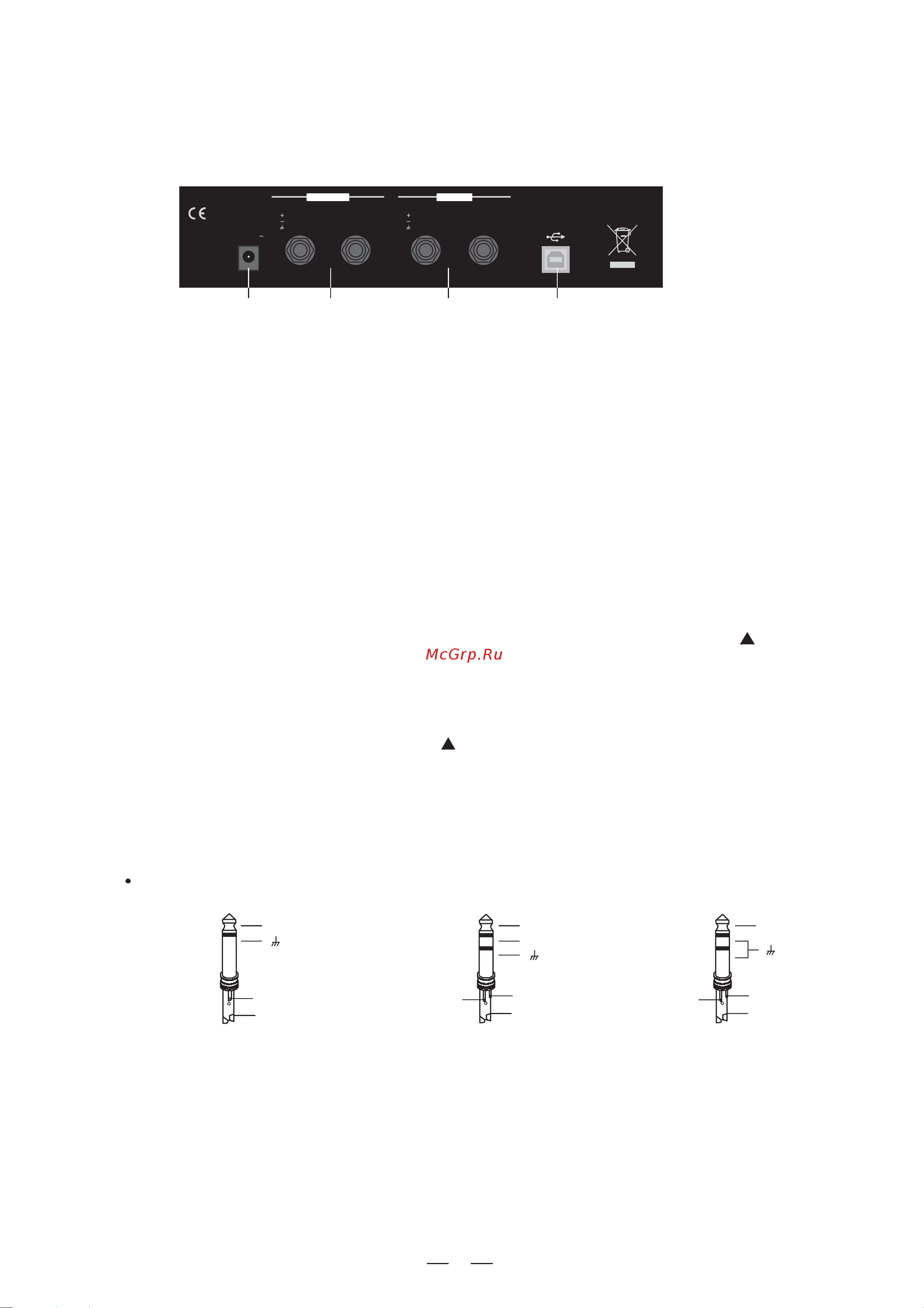 Alto DIGAN2.7 [6/15] Before power on the digan2 please make sure all connections have been made correctly and the volume