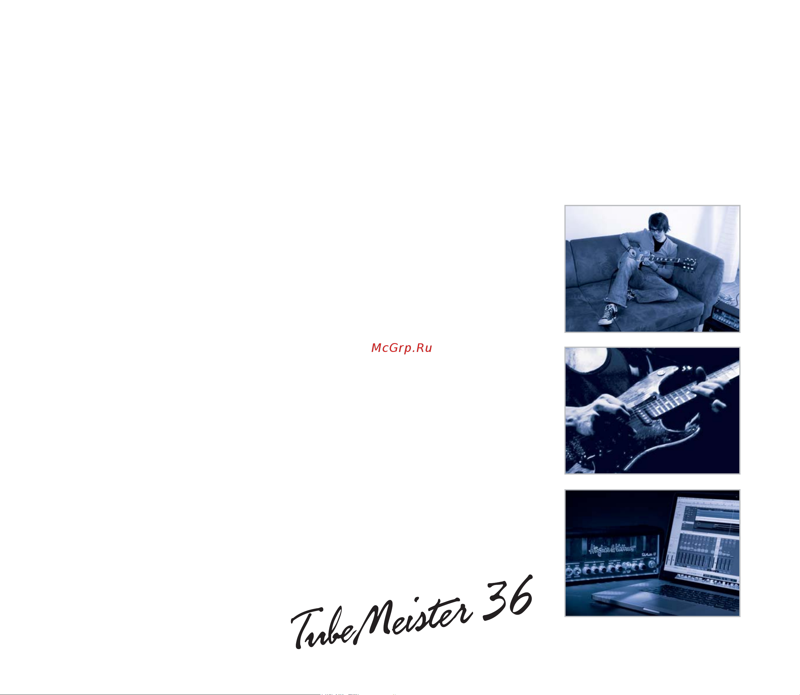 HUGHES & KETTNER TUBEMEISTER 36 HEAD [3/8] Фул хаус