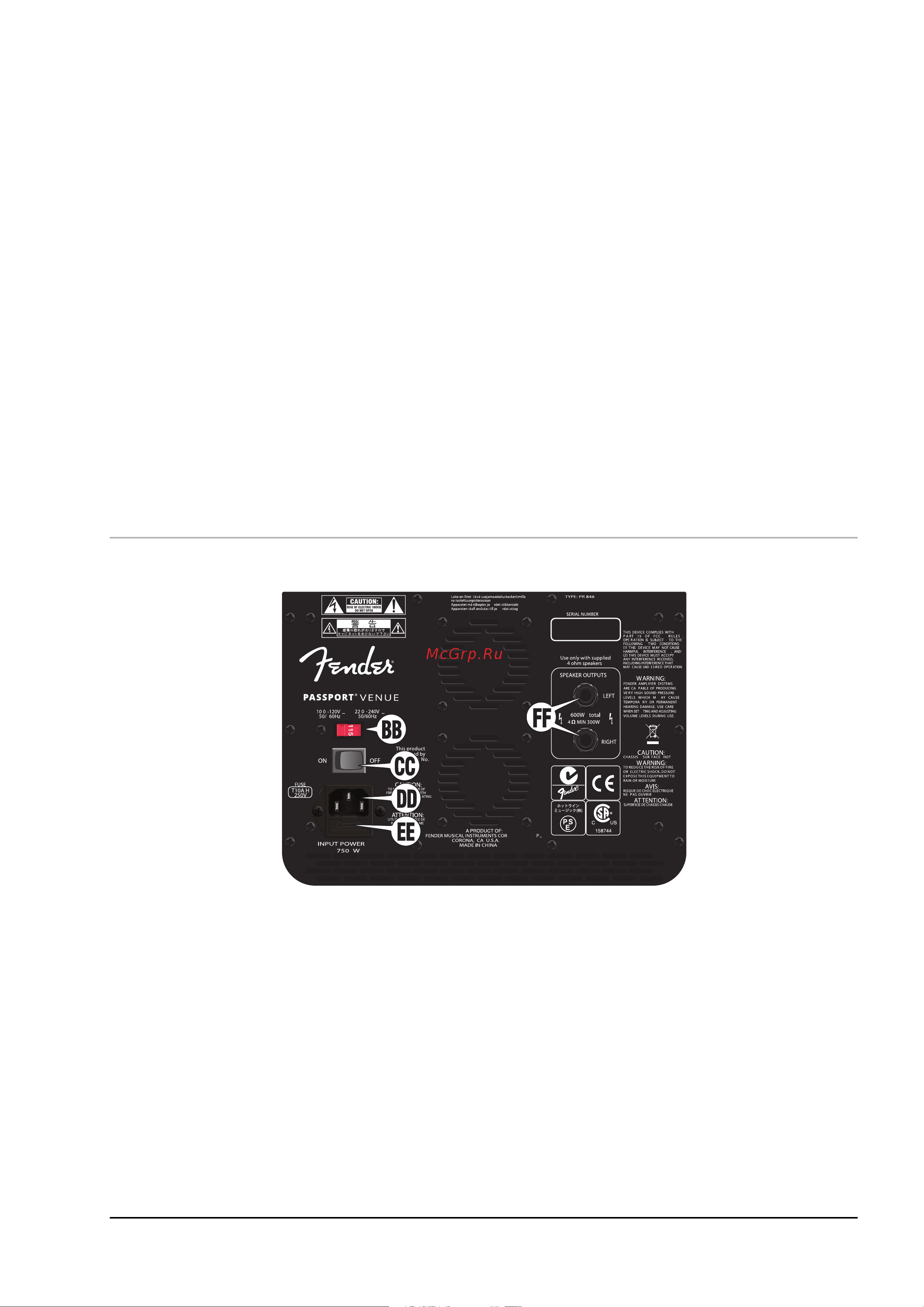 Fender PASSPORT VENUE [11/12] Òûëüíàÿ ïàíåëü