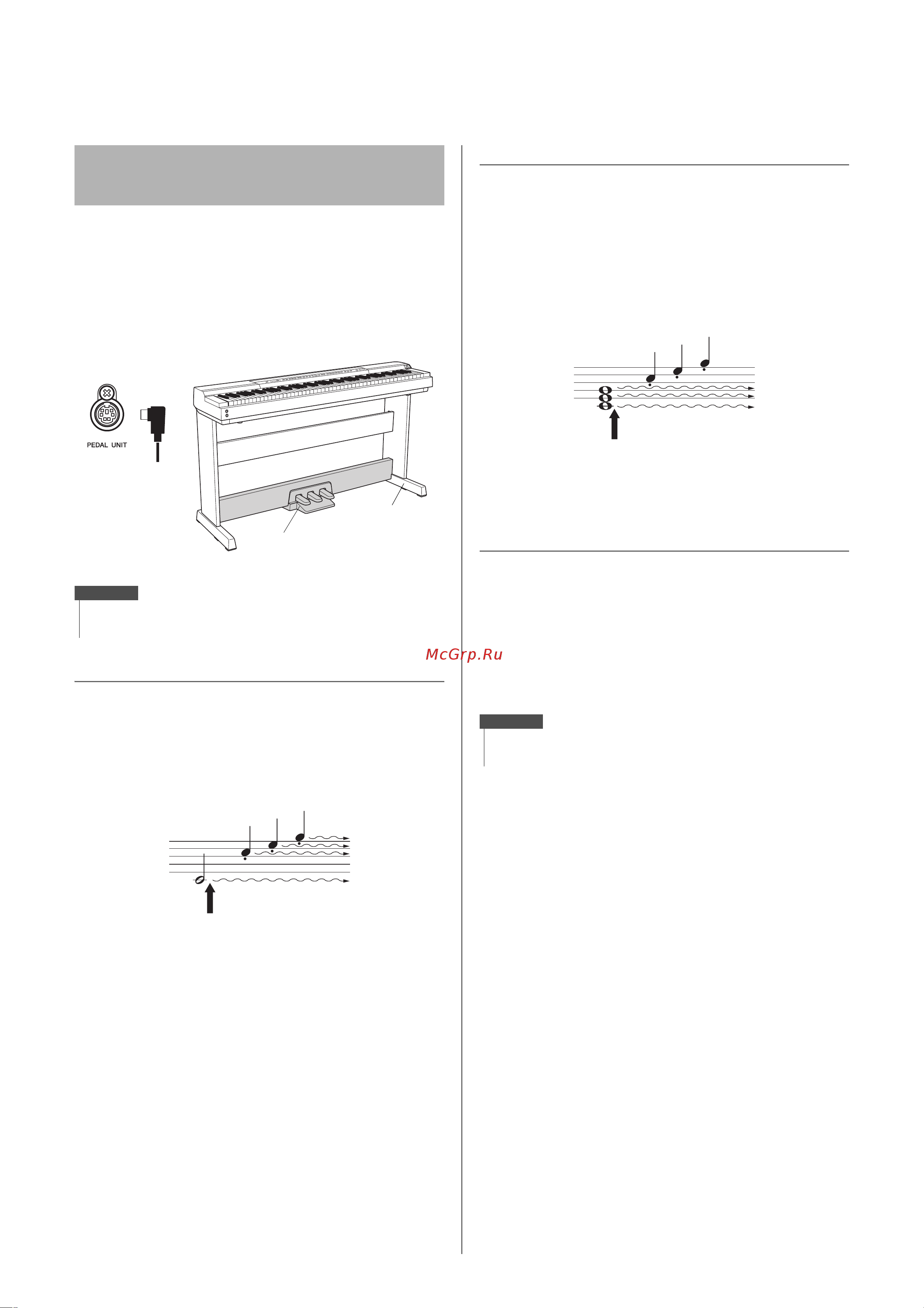 Yamaha P-255WH [12/56] Использование дополнительного блока педалей
