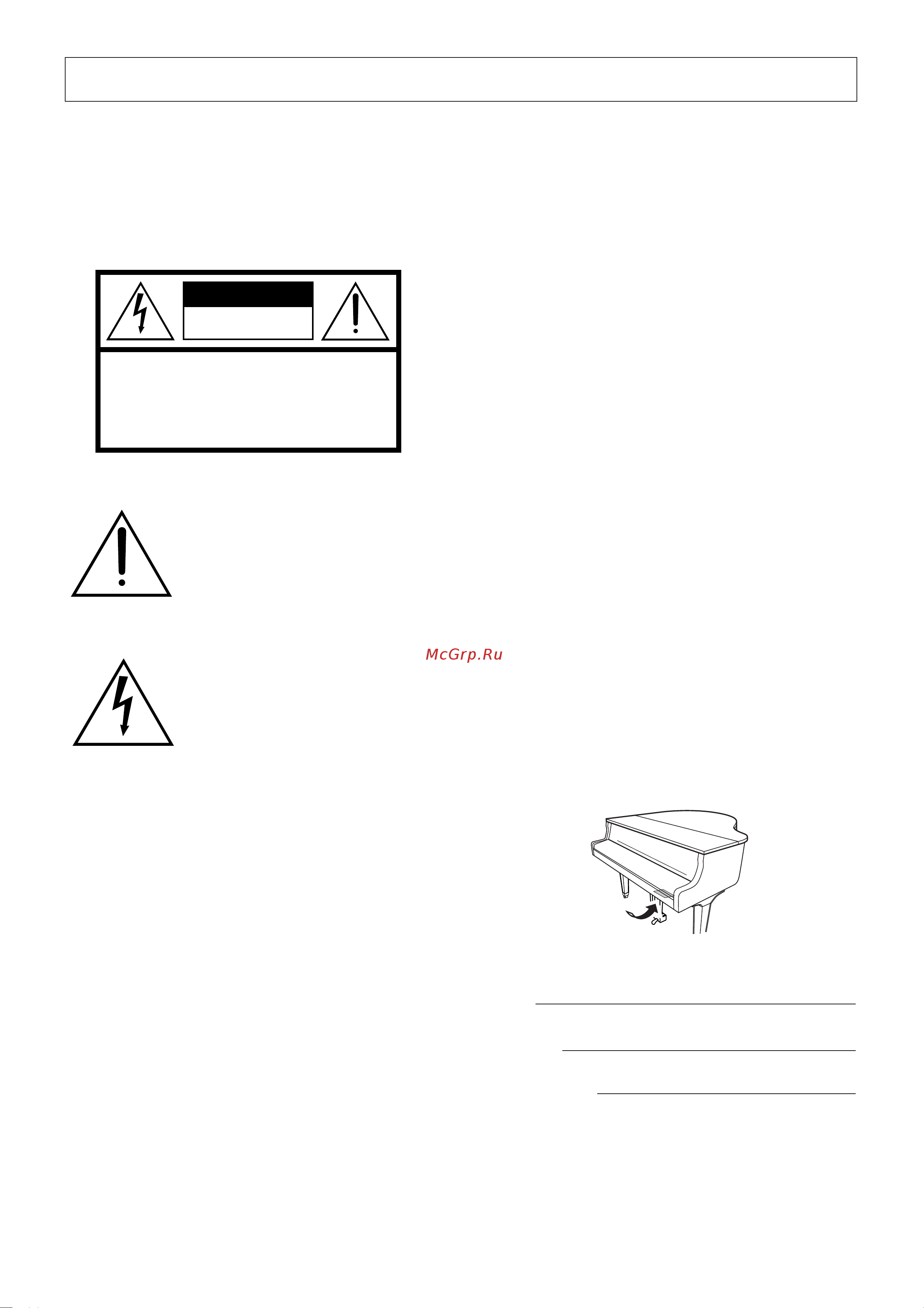 Yamaha CGP-1000 [2/226] Special message section